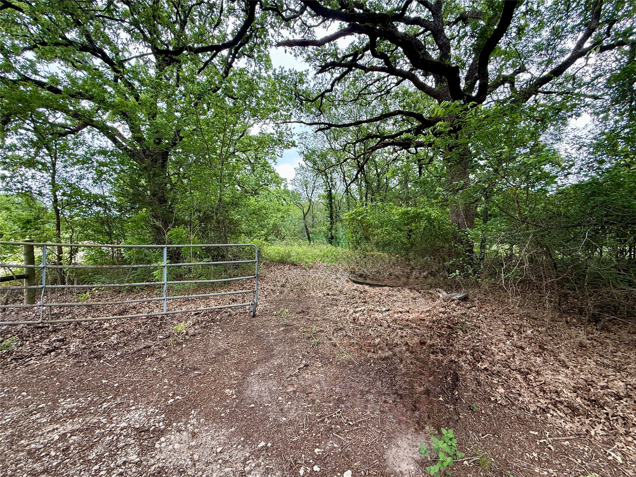 TBD 125 Acres FM 642
