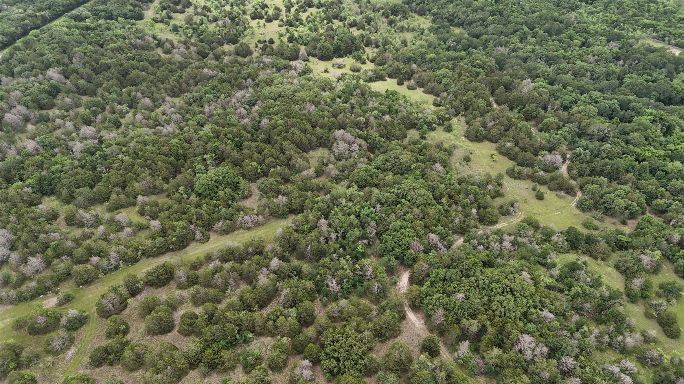 TBD 125 Acres FM 642