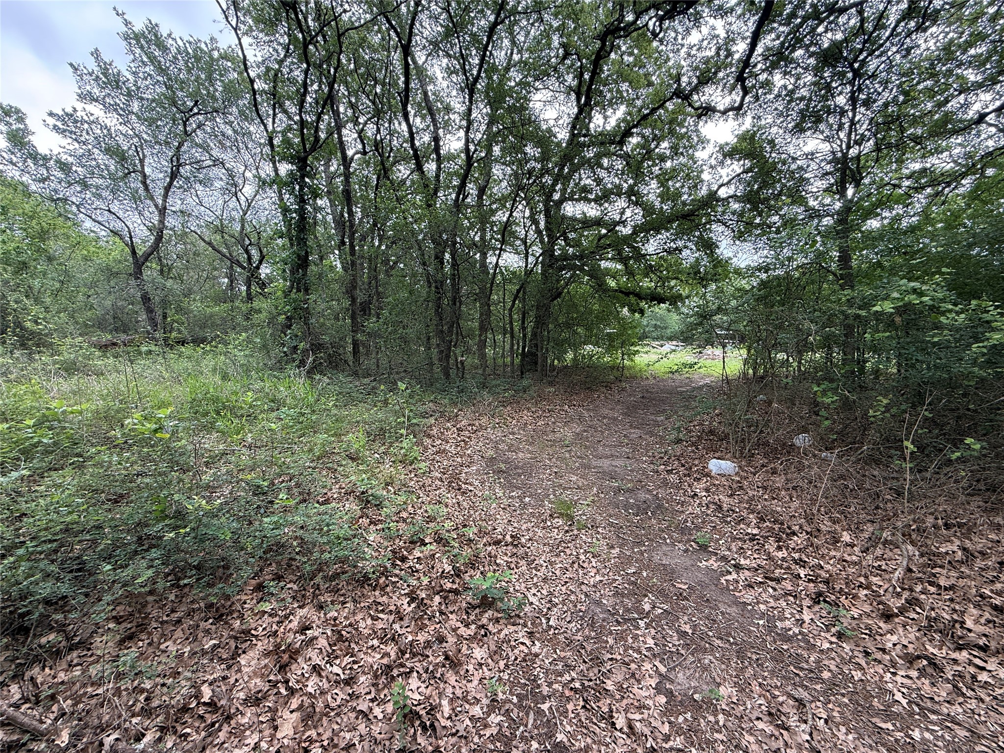 TBD 125 Acres FM 642