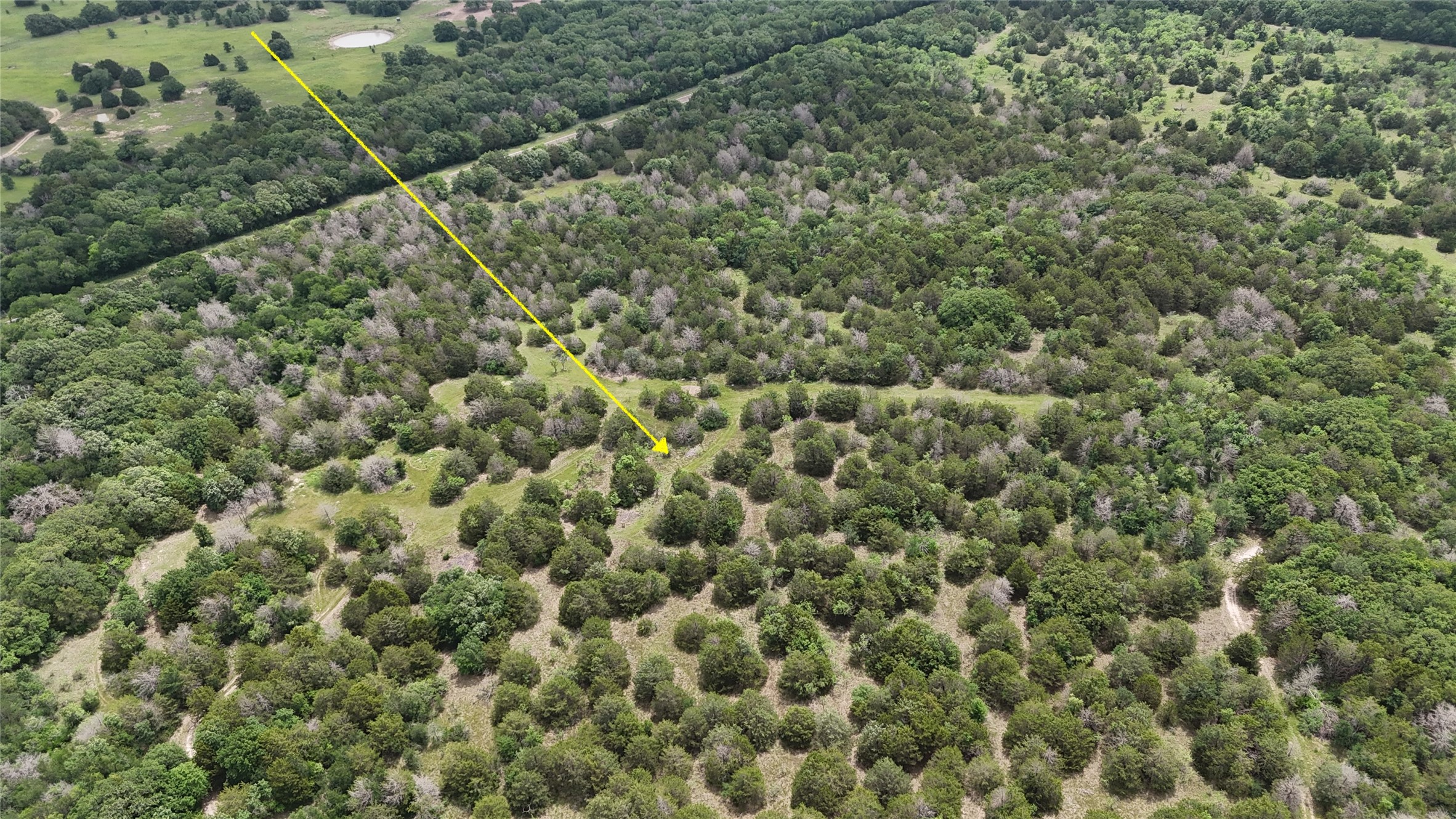 TBD 125 Acres FM 642