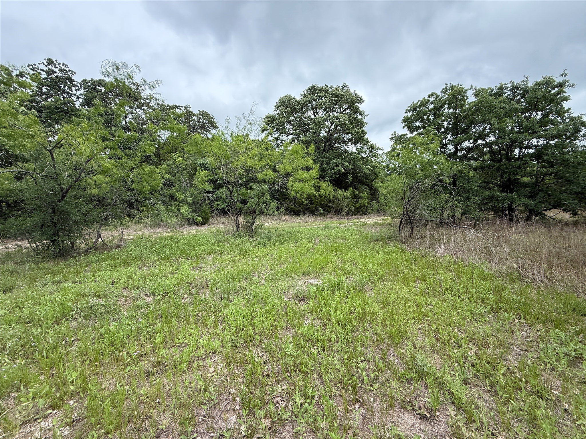 TBD 125 Acres FM 642