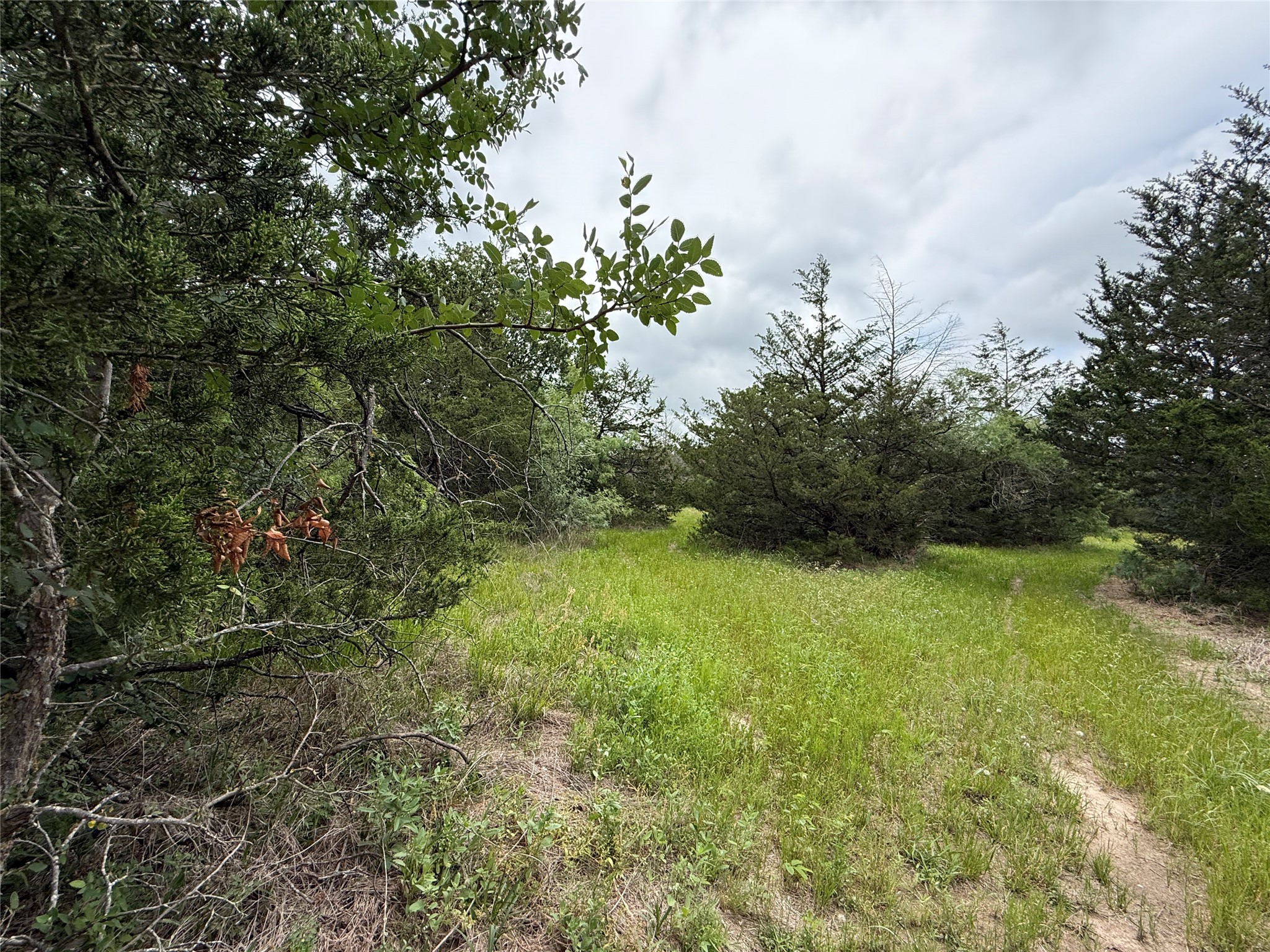 TBD 125 Acres FM 642