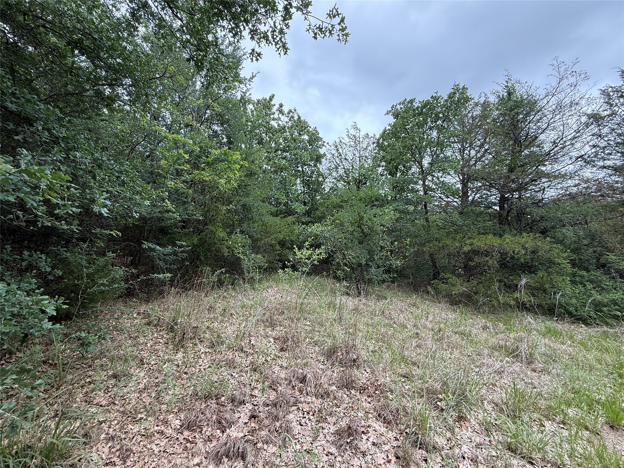 TBD 125 Acres FM 642