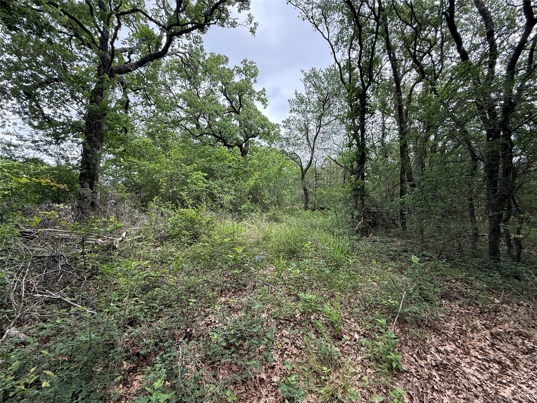 TBD 125 Acres FM 642