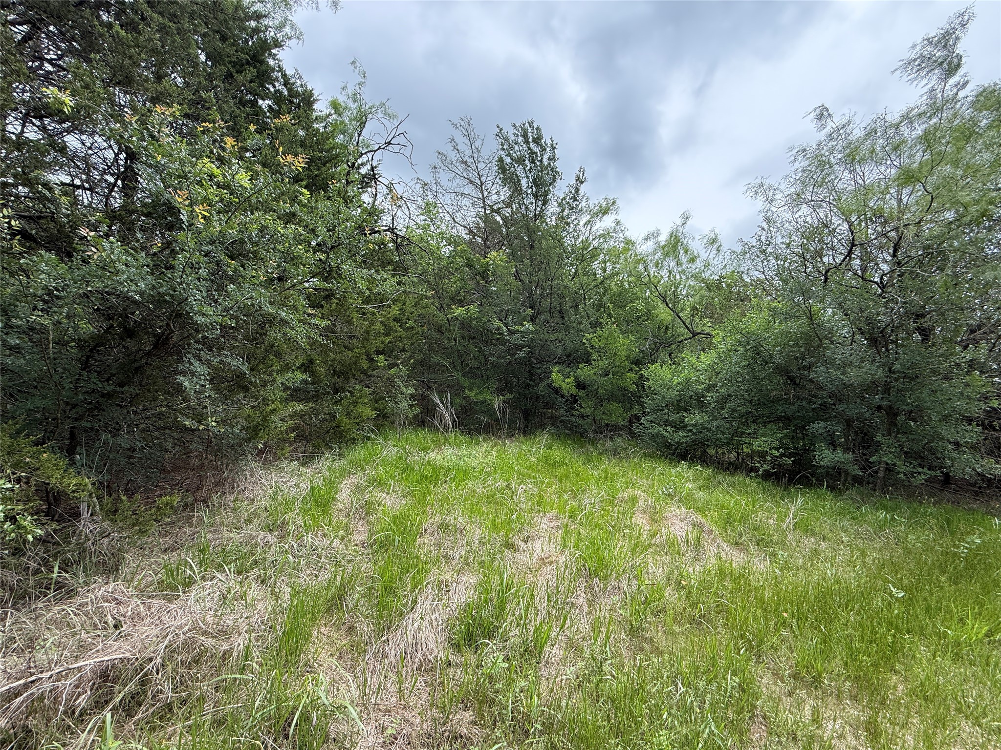 TBD 125 Acres FM 642