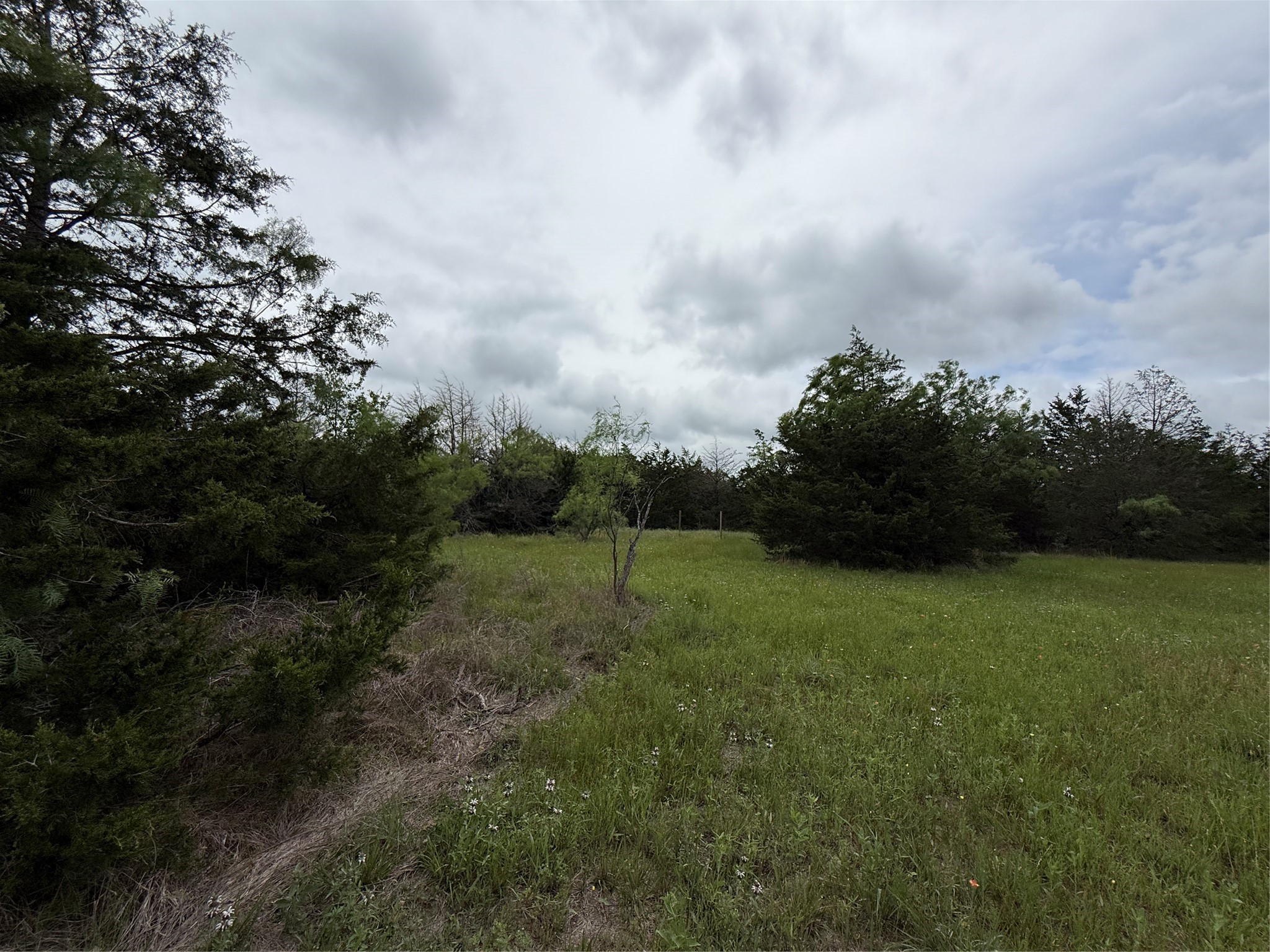 TBD 125 Acres FM 642