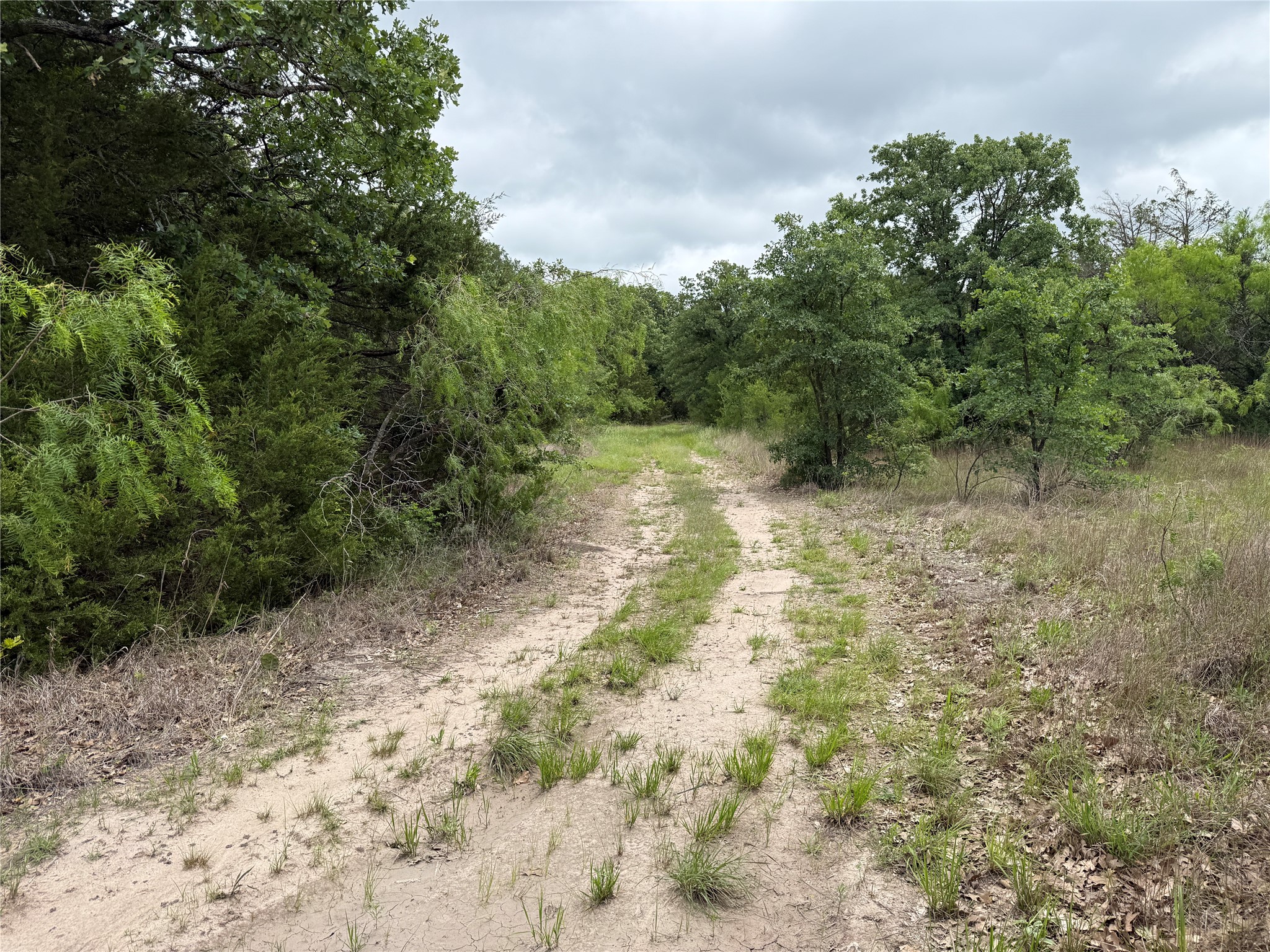 TBD 125 Acres FM 642