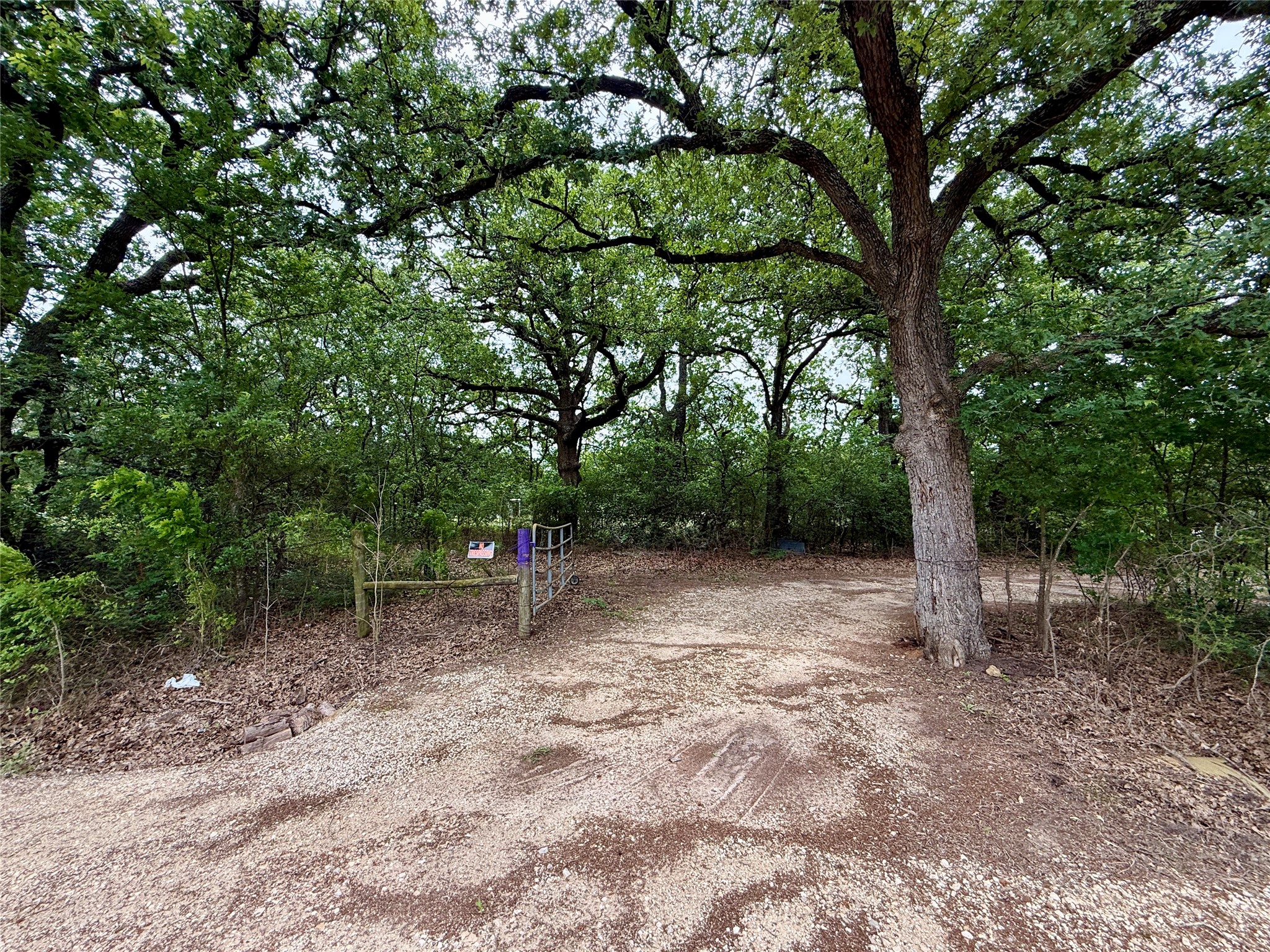 TBD 125 Acres FM 642