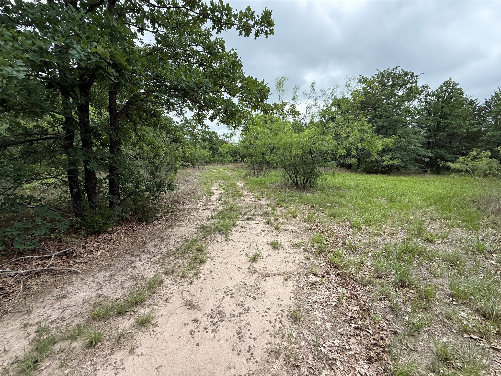 TBD 125 Acres FM 642
