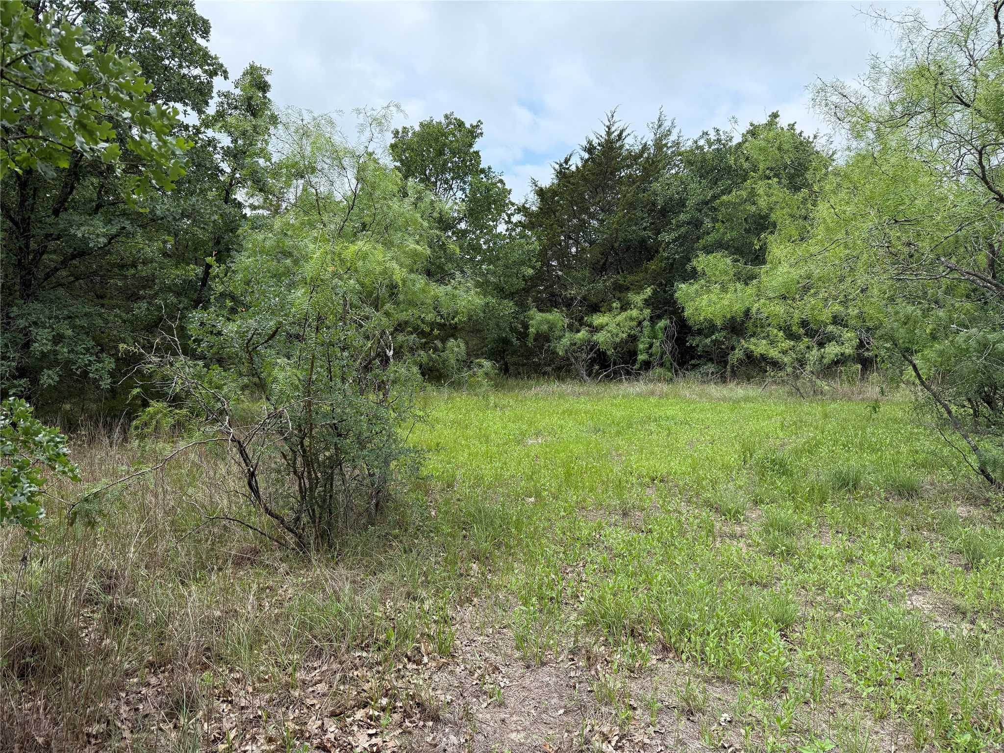 TBD 125 Acres FM 642