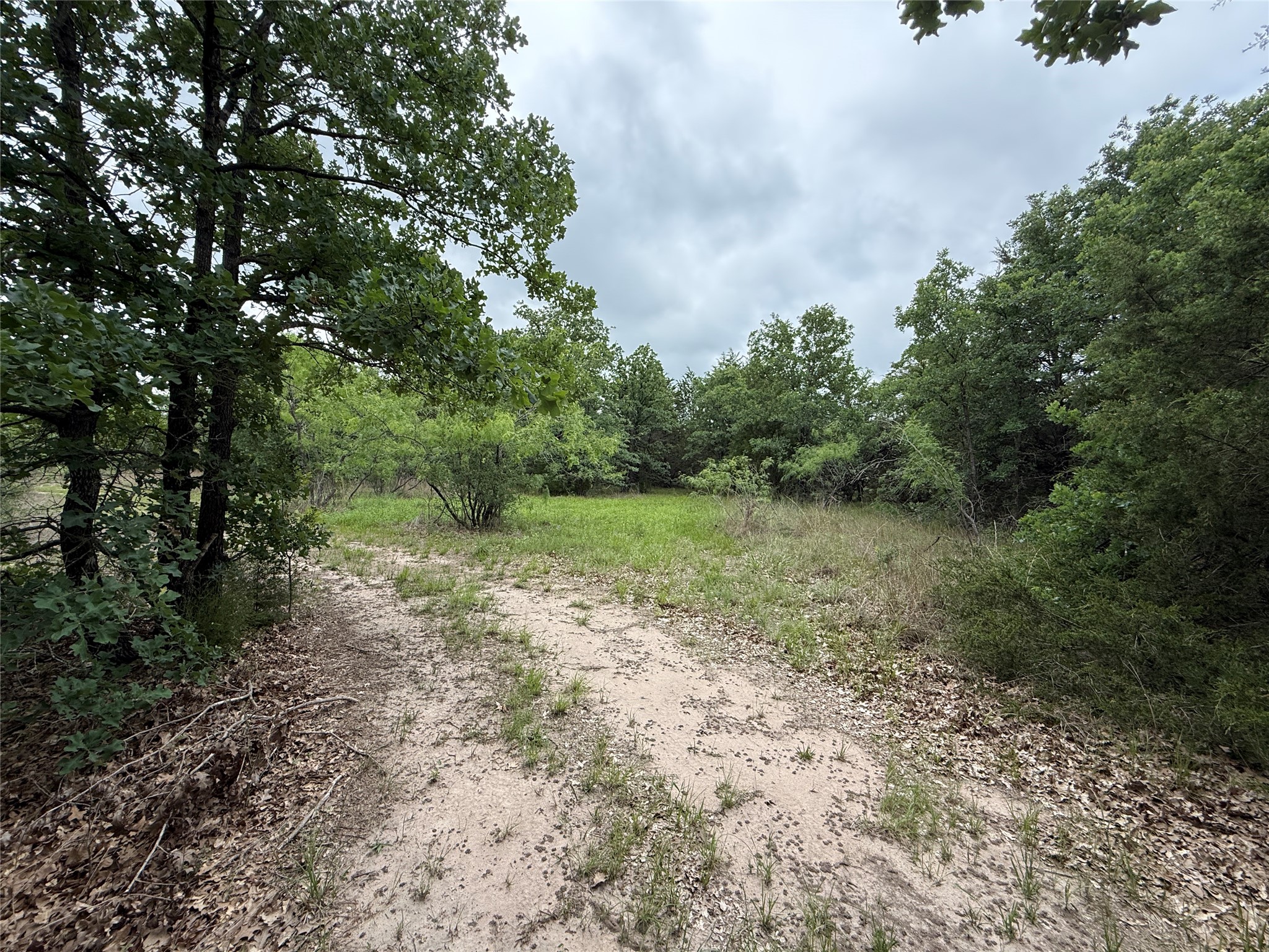 TBD 125 Acres FM 642