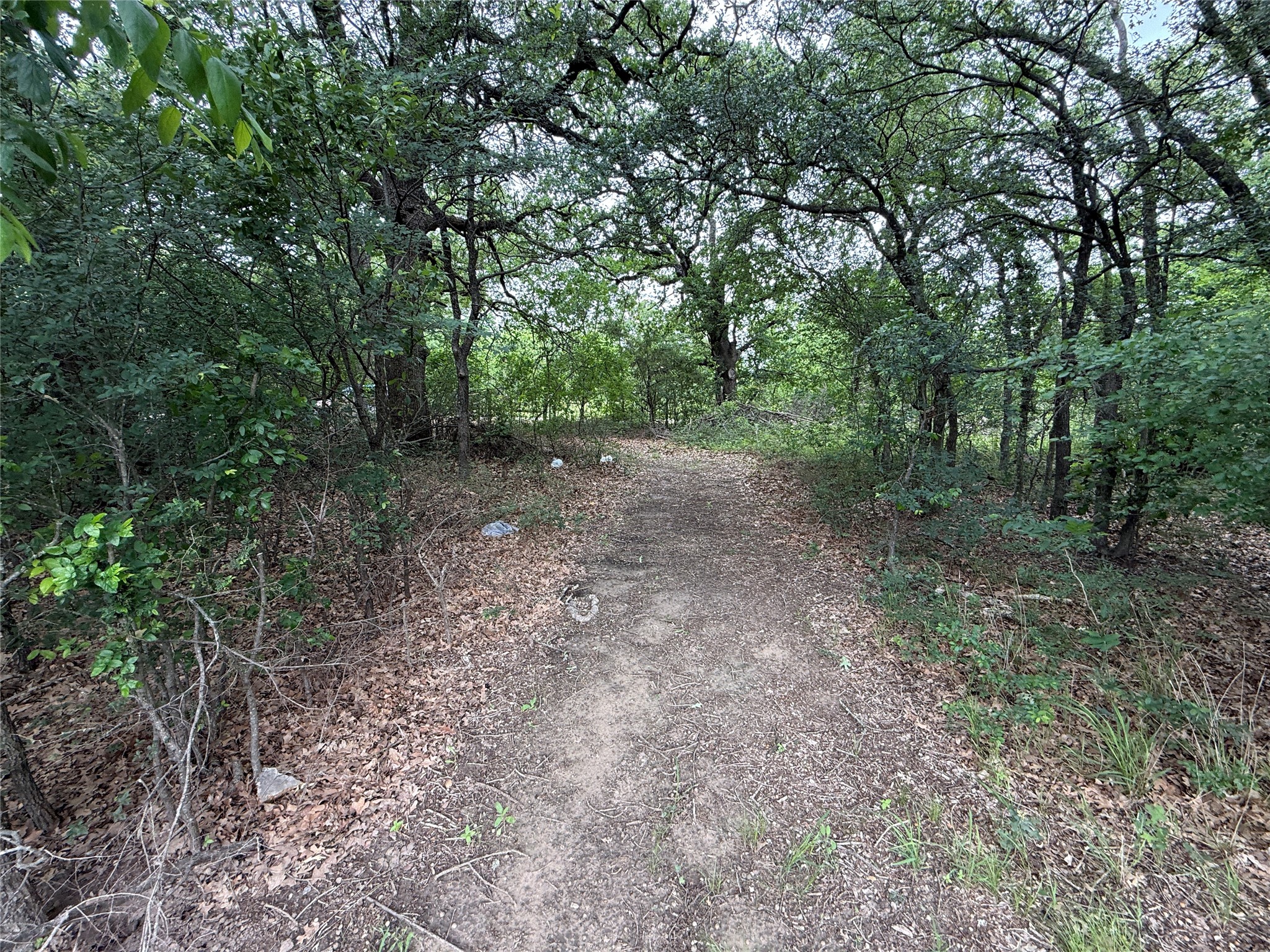 TBD 125 Acres FM 642
