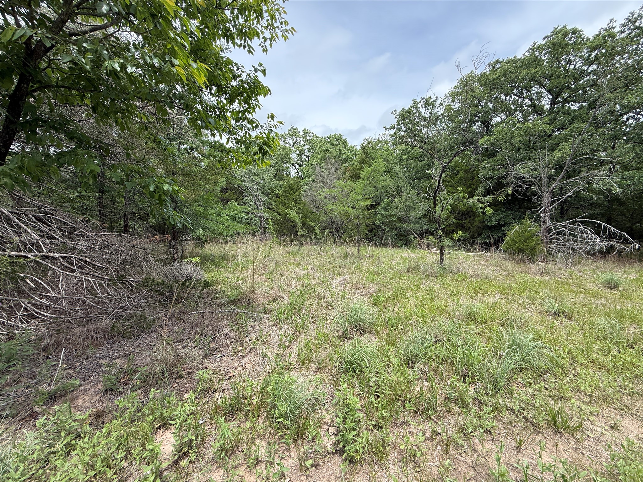 TBD 27 Acres FM 642