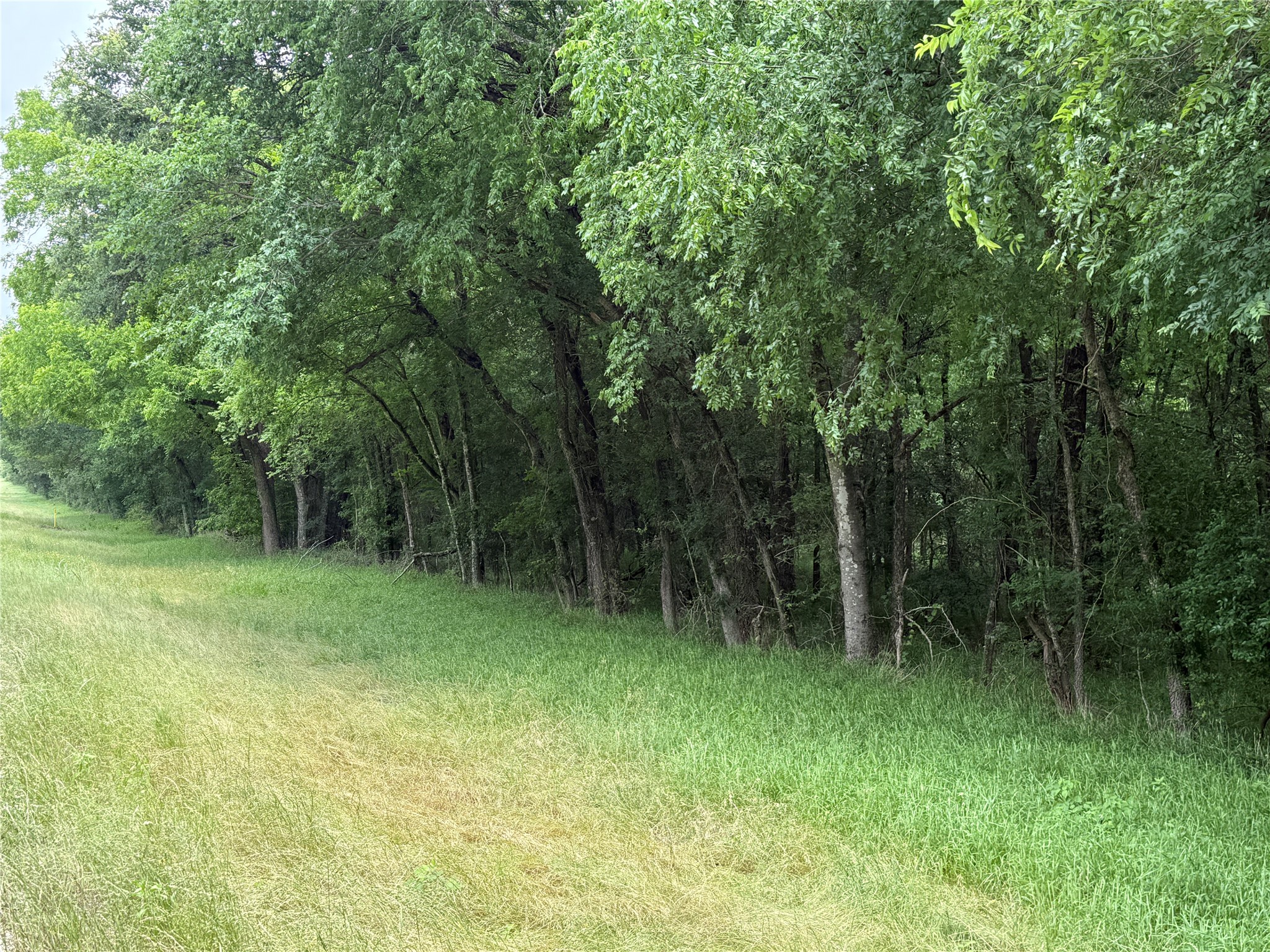 TBD 27 Acres FM 642