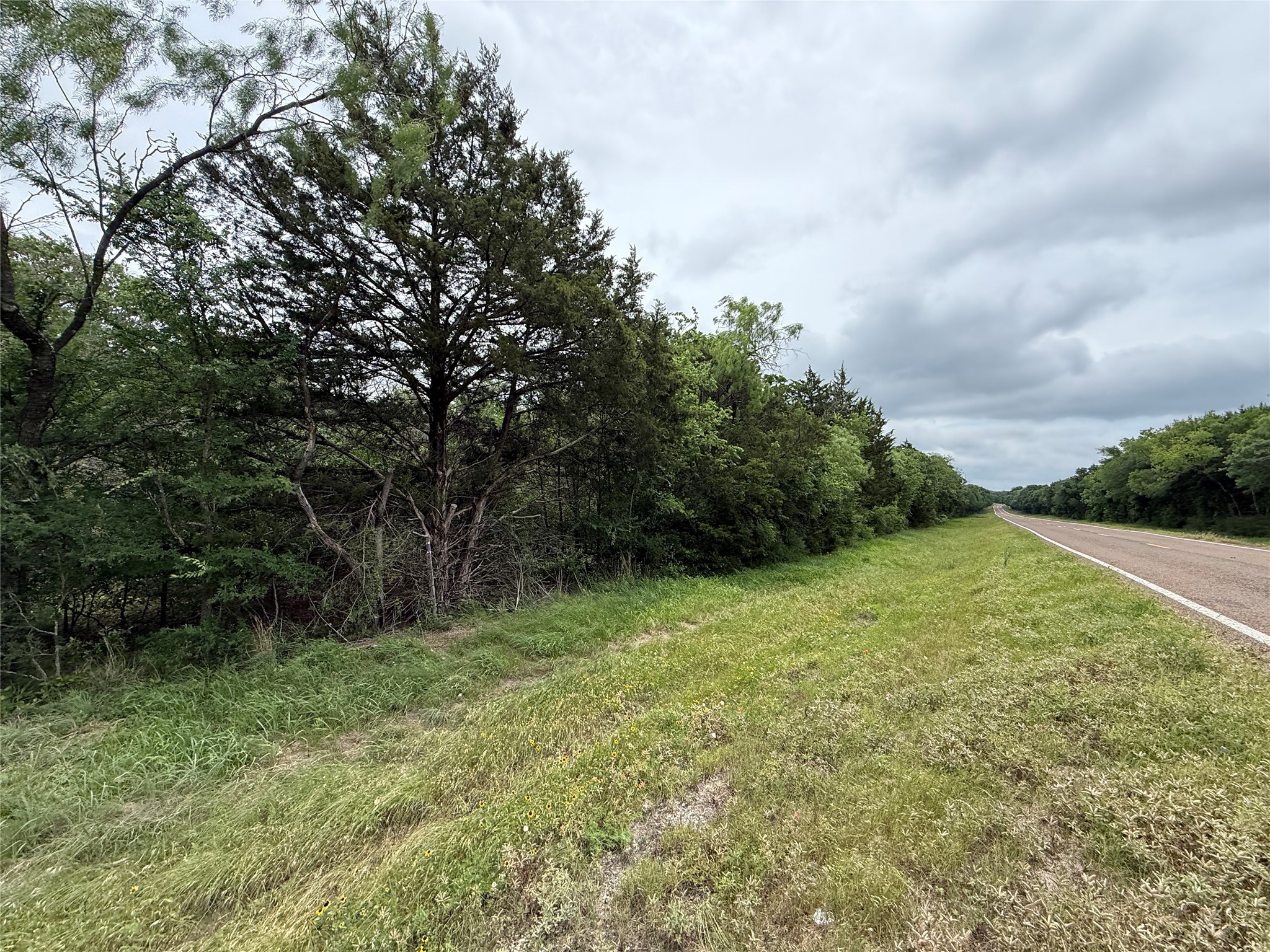 TBD 27 Acres FM 642