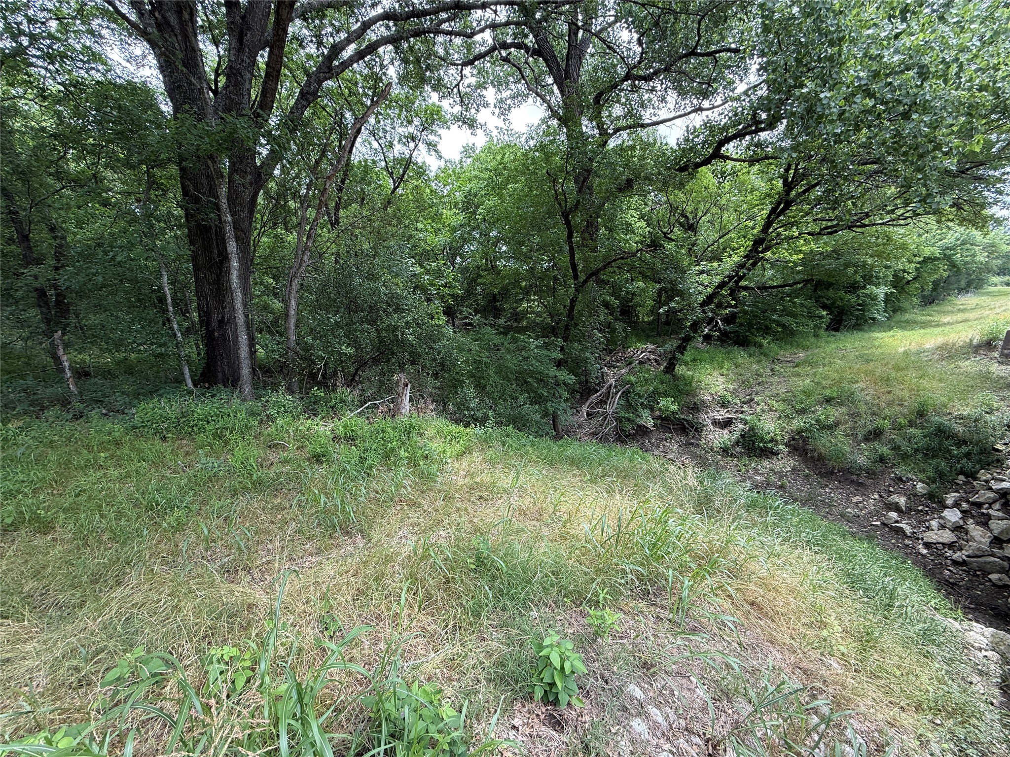 TBD 27 Acres FM 642