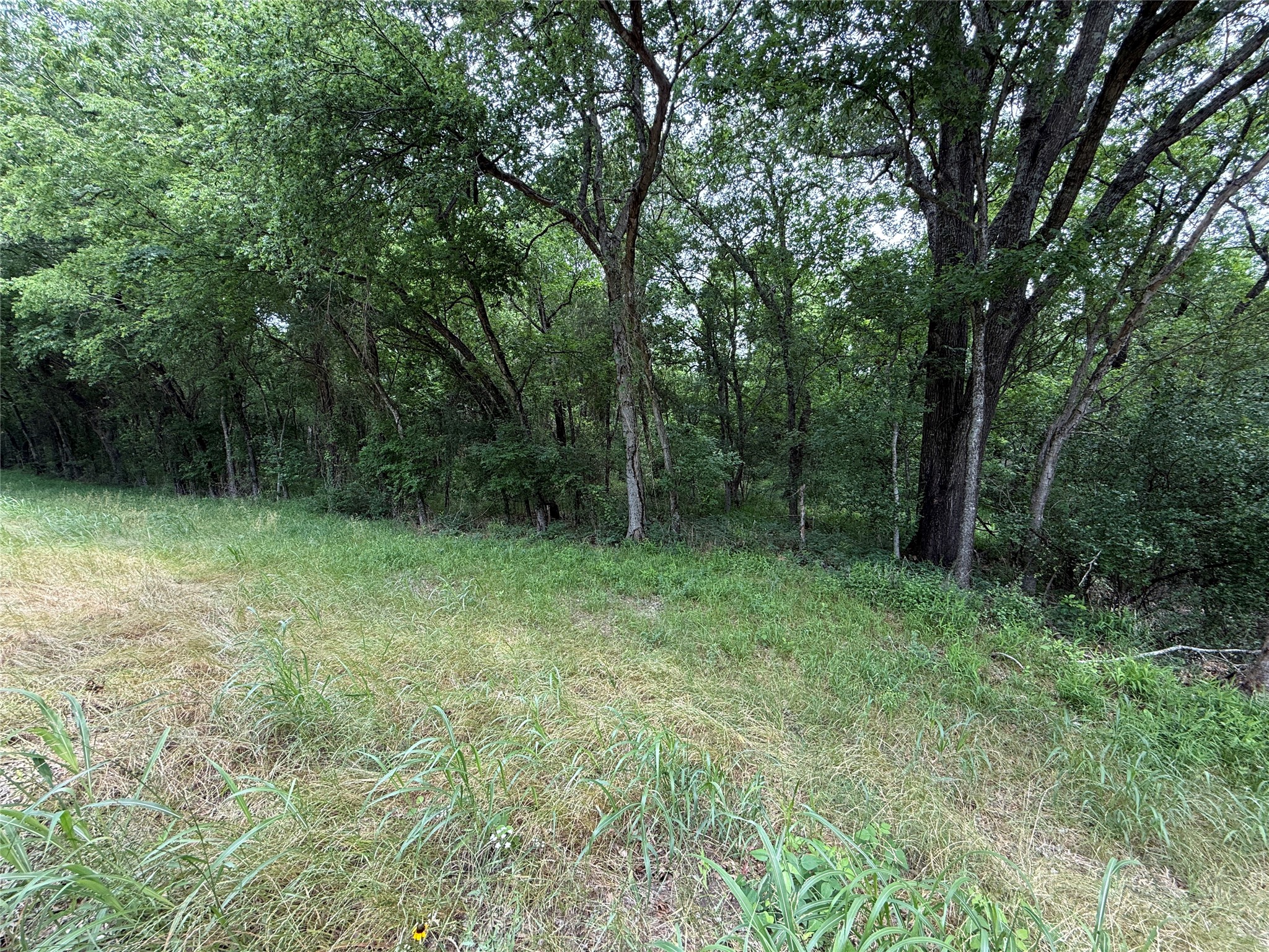TBD 27 Acres FM 642