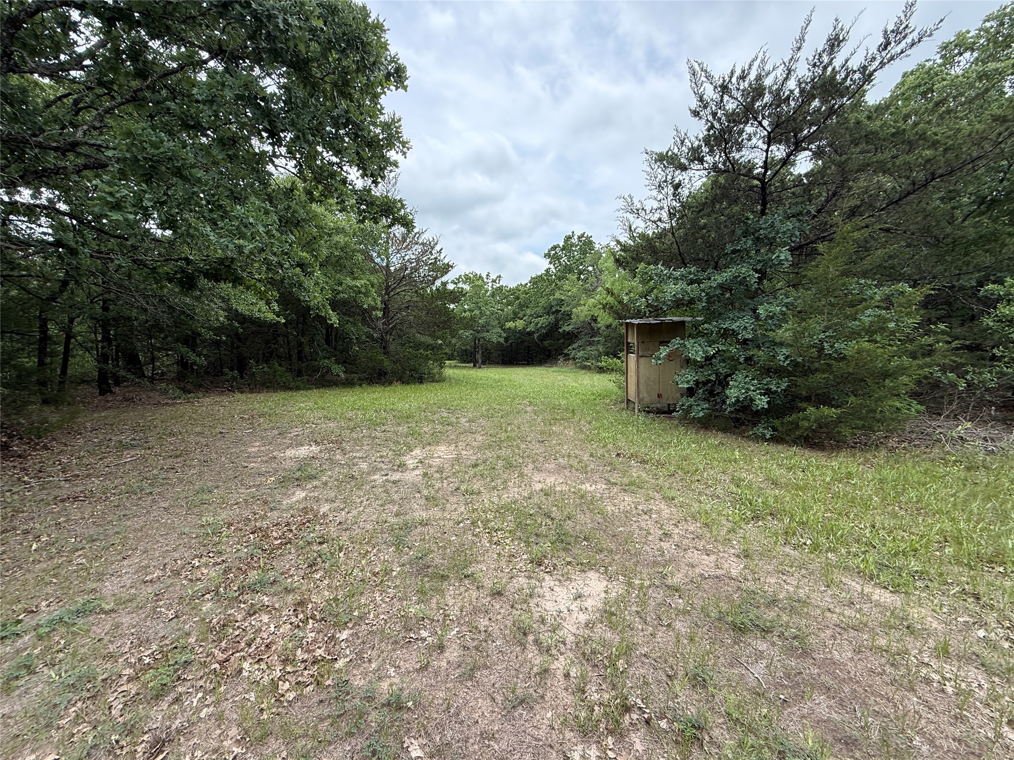 TBD 27 Acres FM 642
