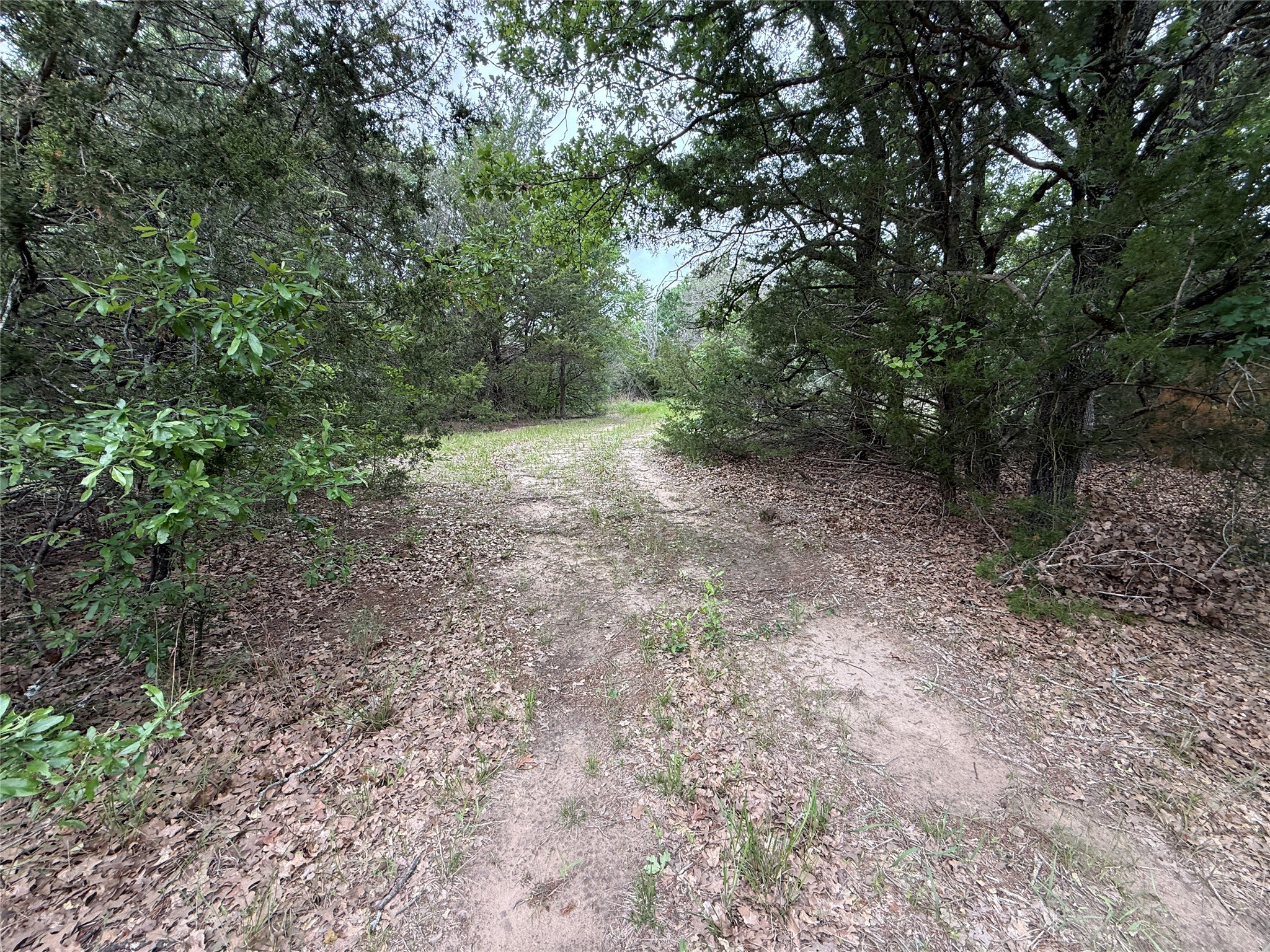 TBD 27 Acres FM 642