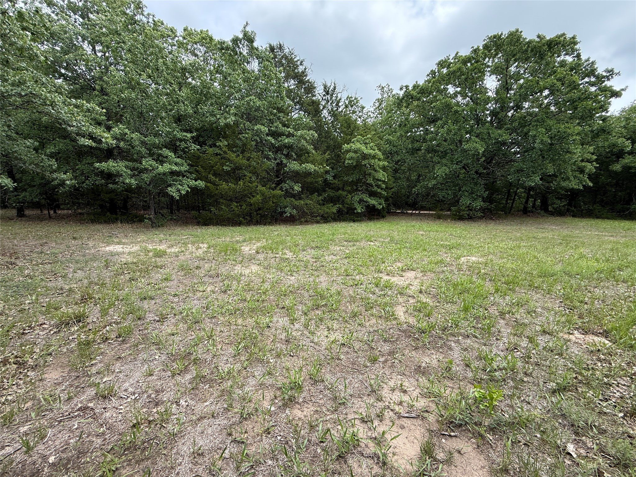 TBD 27 Acres FM 642