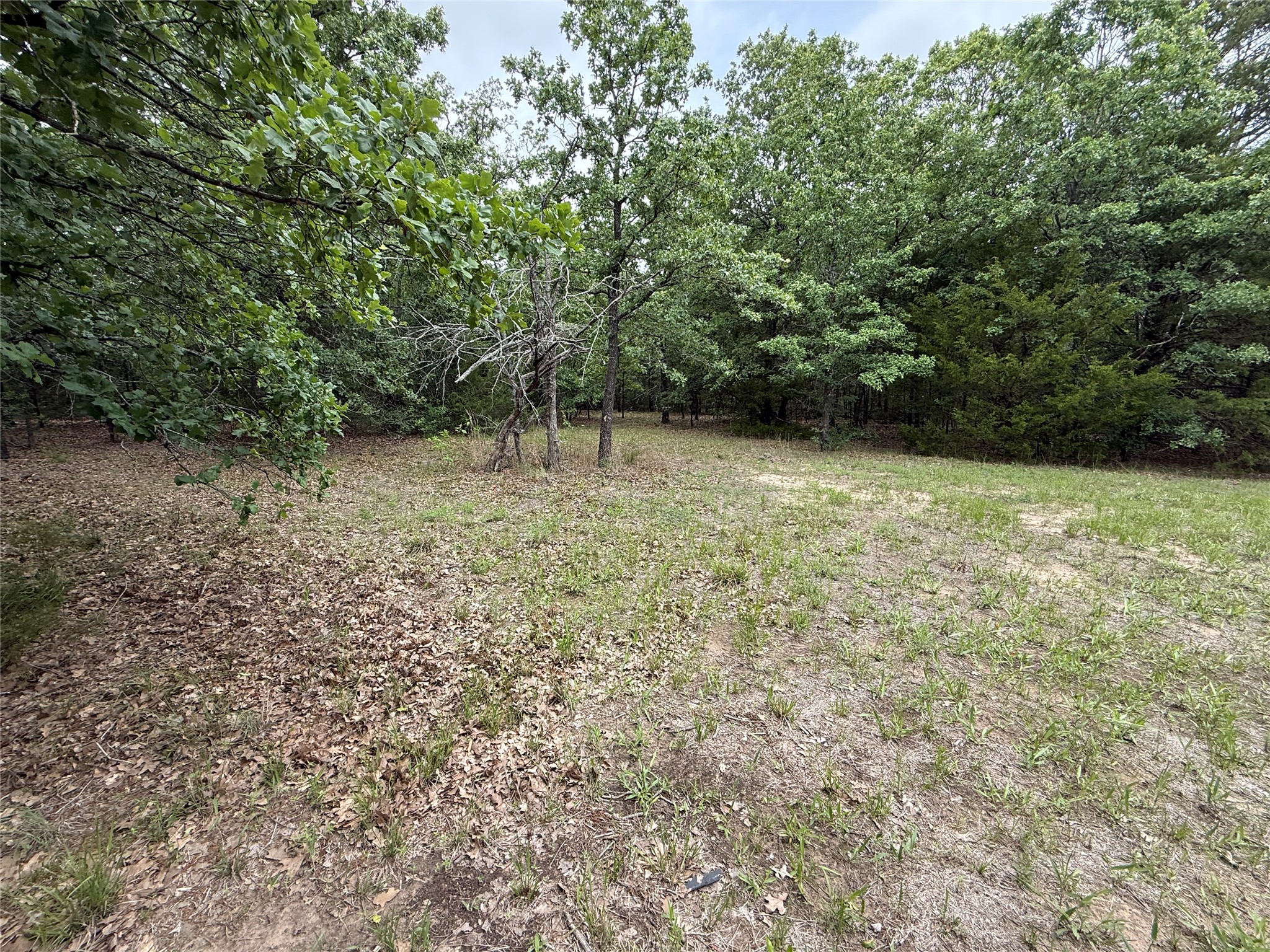 TBD 27 Acres FM 642