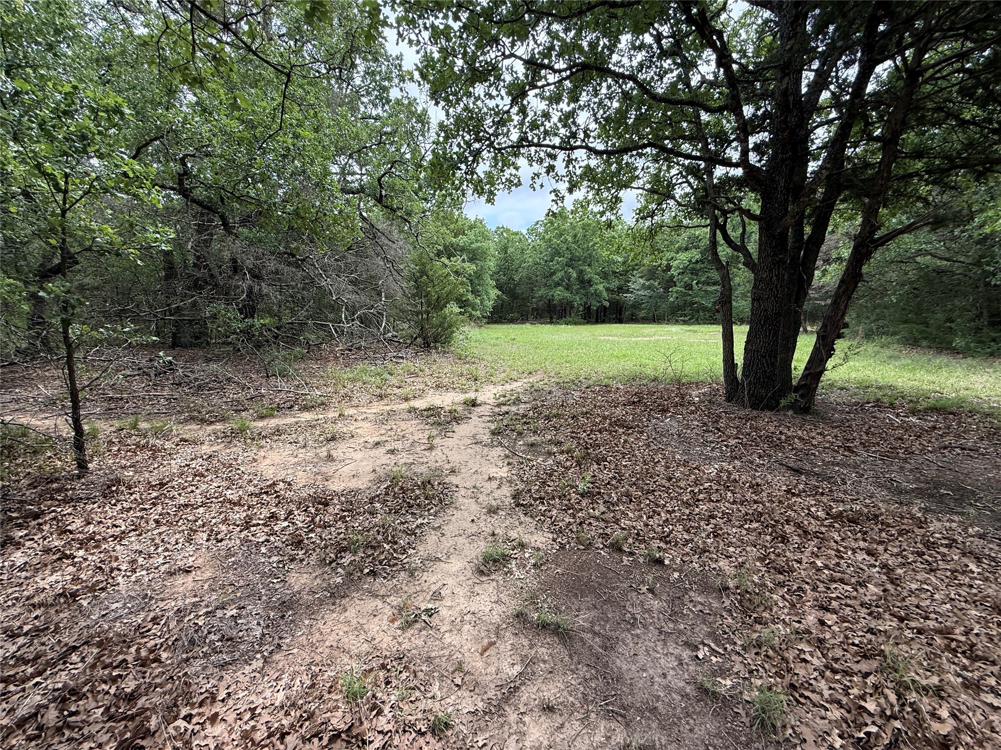 TBD 27 Acres FM 642