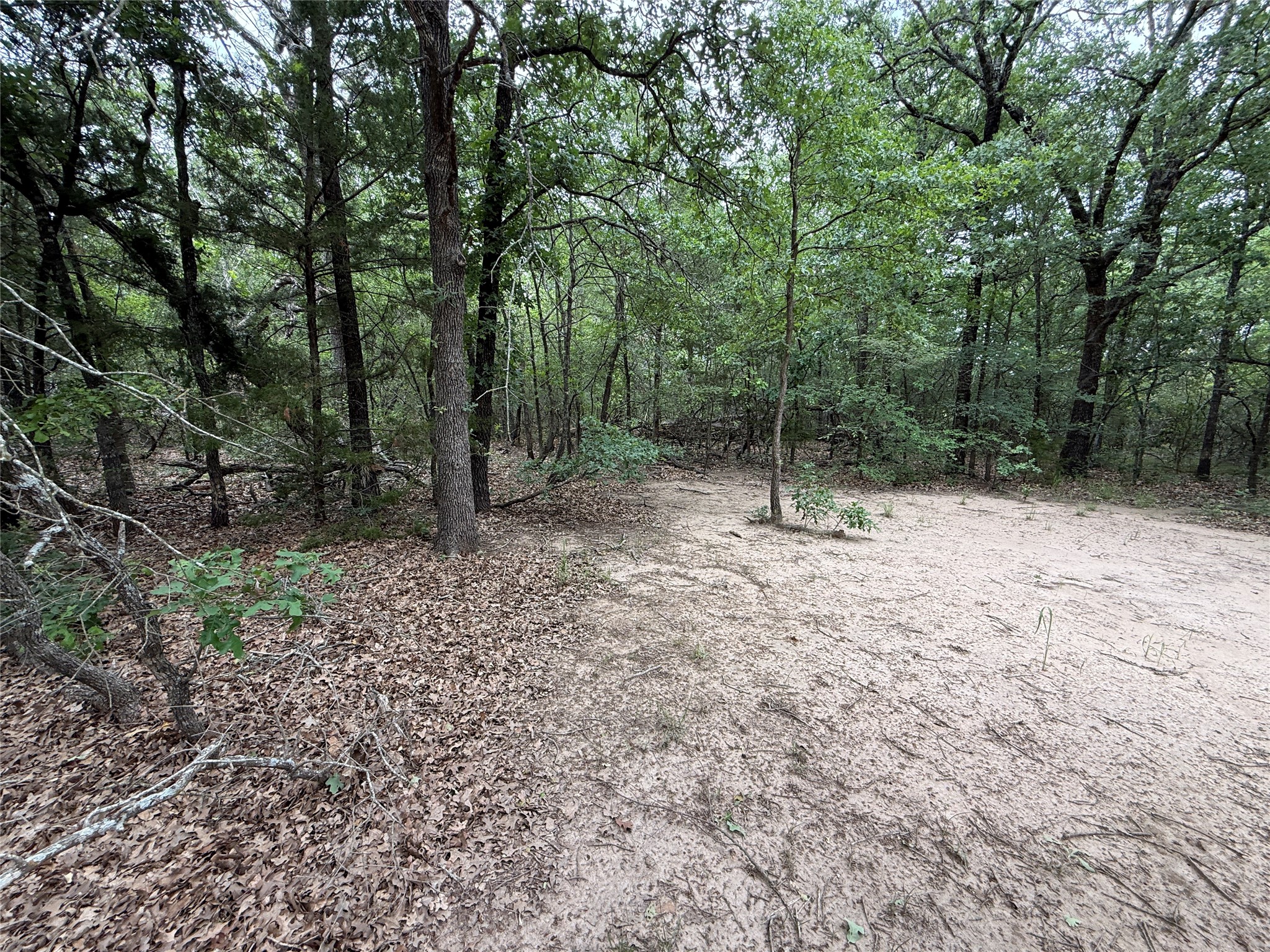 TBD 27 Acres FM 642