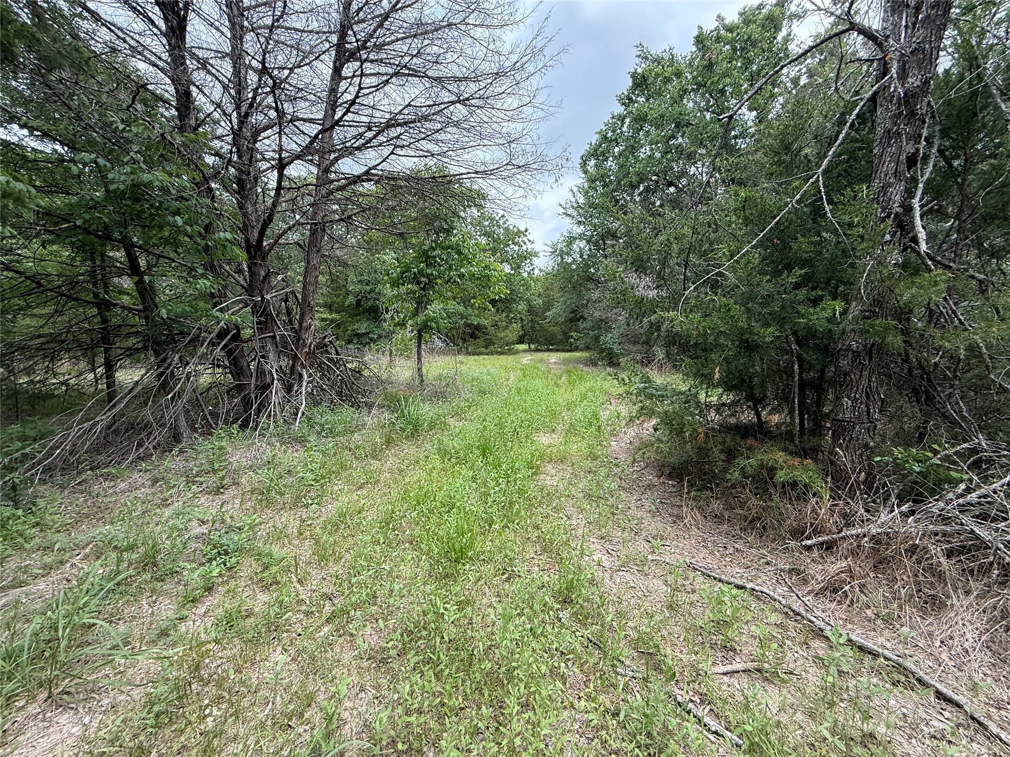 TBD 27 Acres FM 642