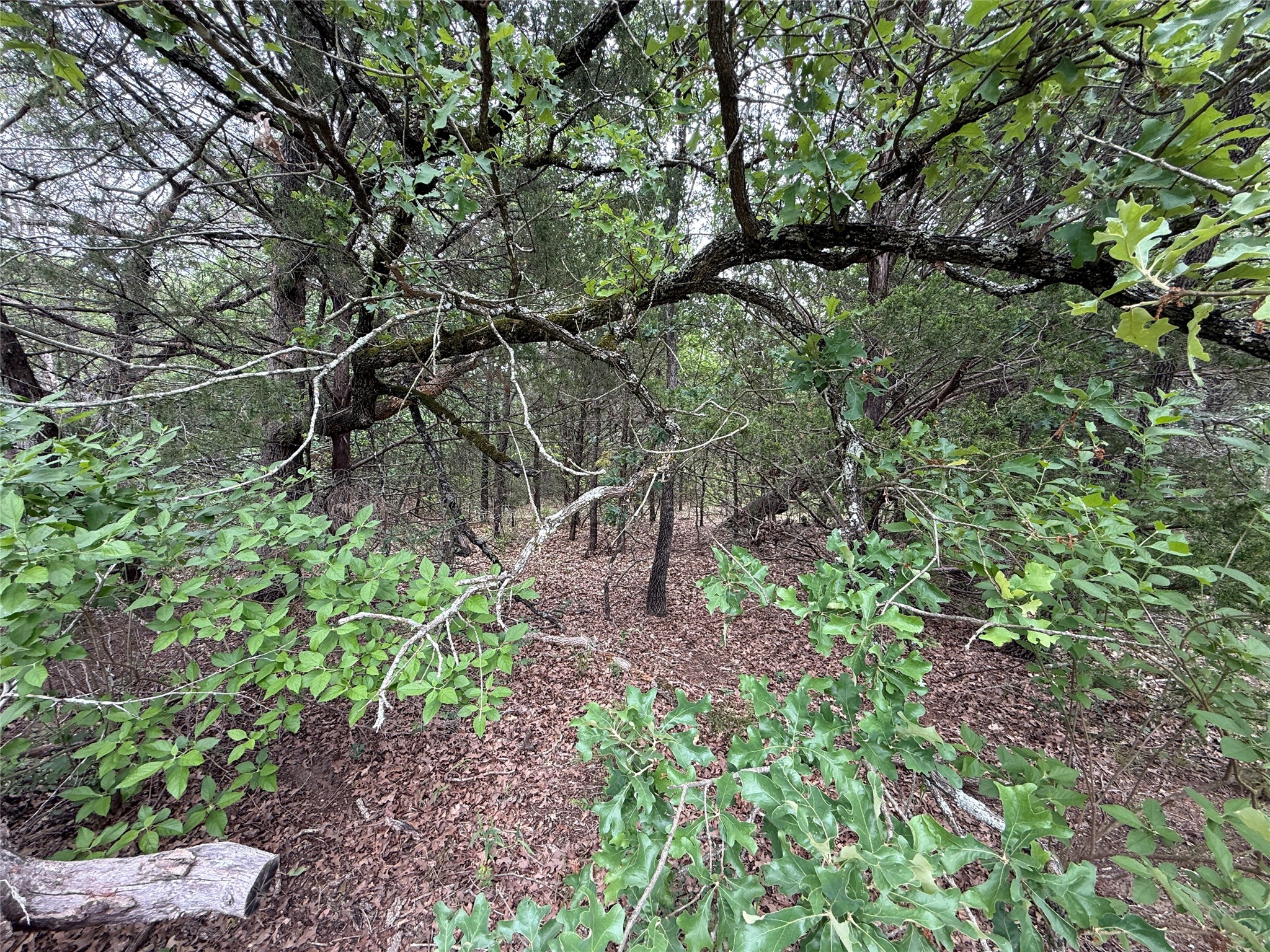 TBD 27 Acres FM 642
