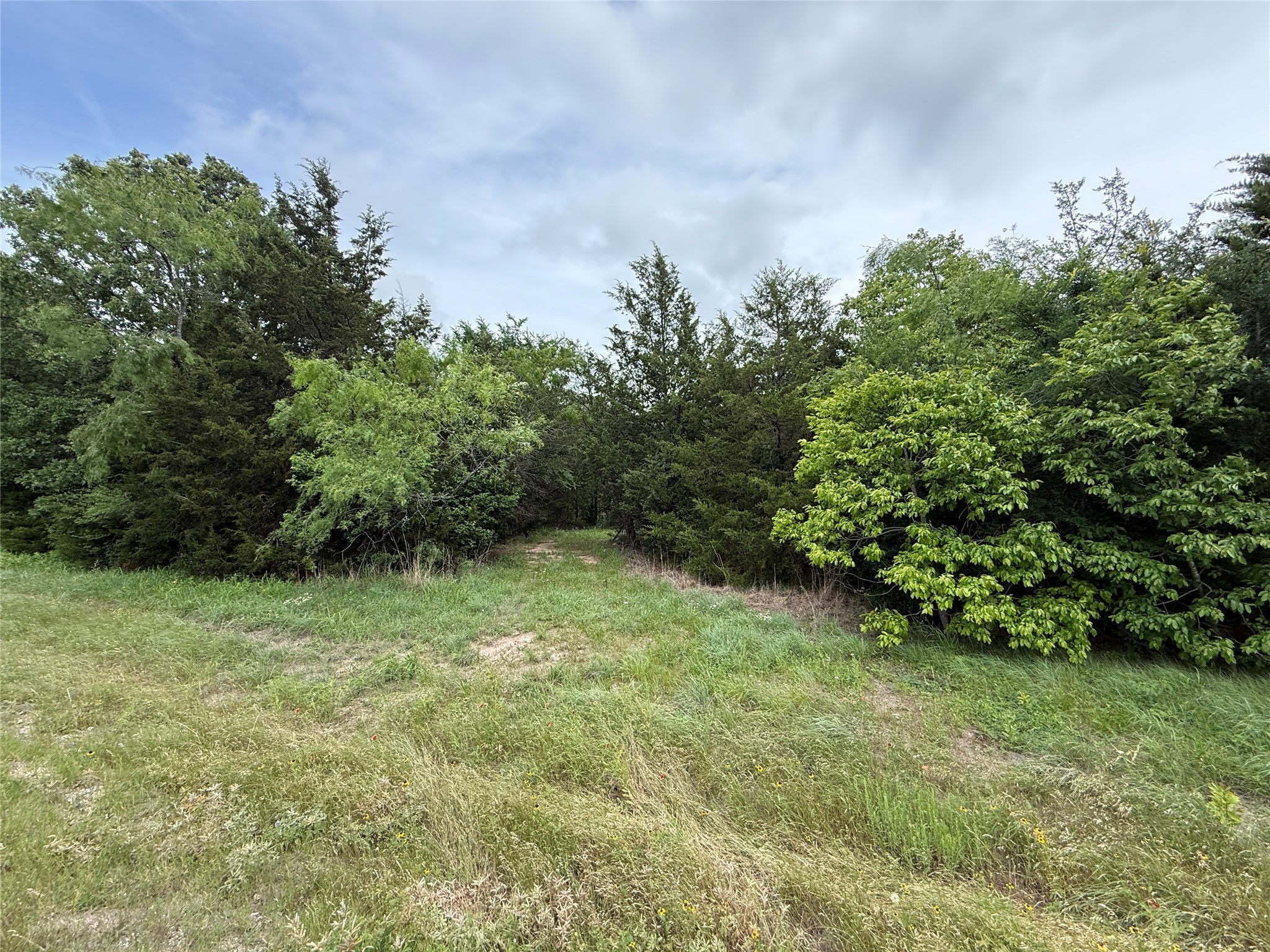 TBD 27 Acres FM 642