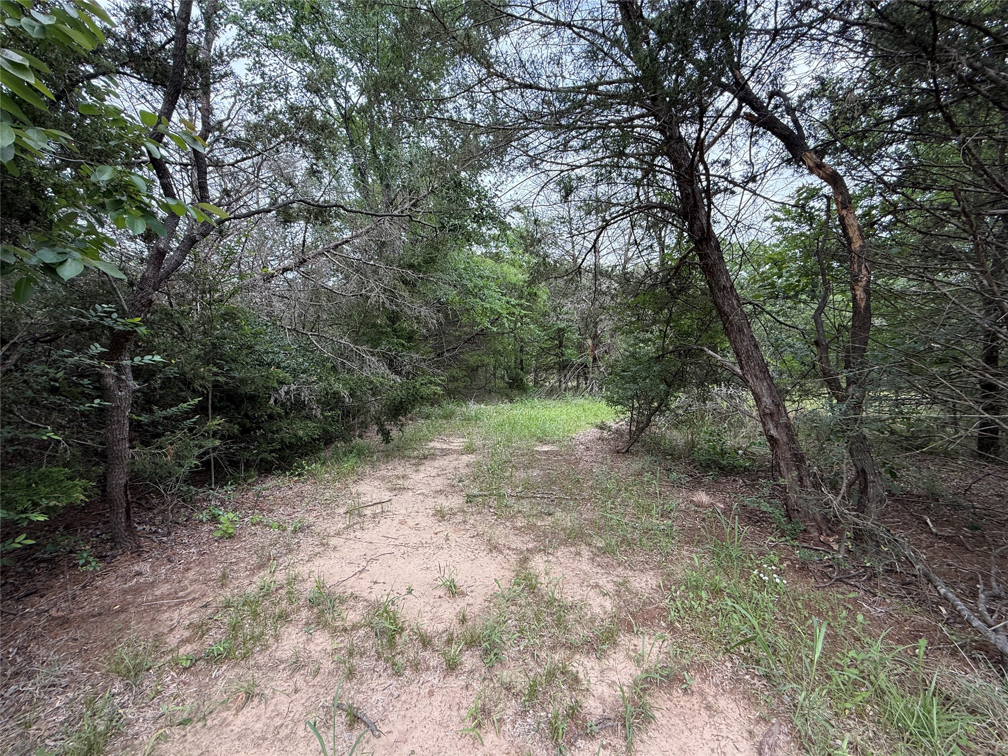 TBD 27 Acres FM 642