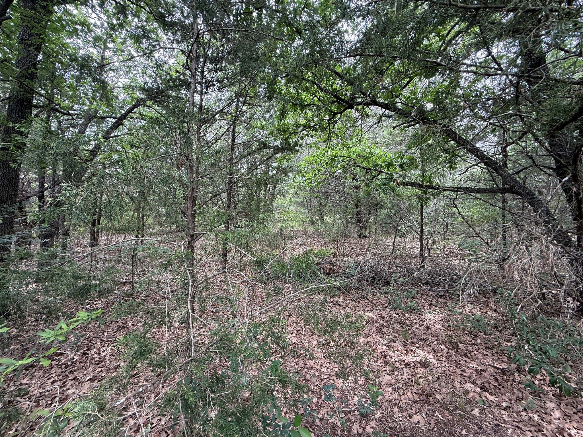 TBD 27 Acres FM 642