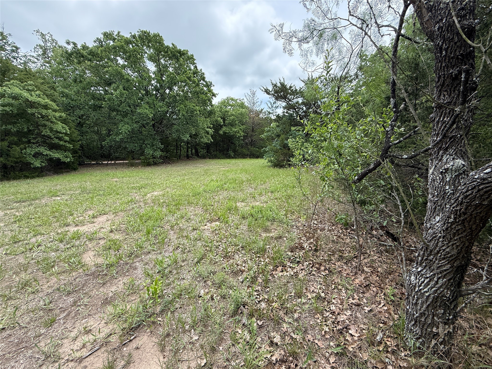 TBD 27 Acres FM 642