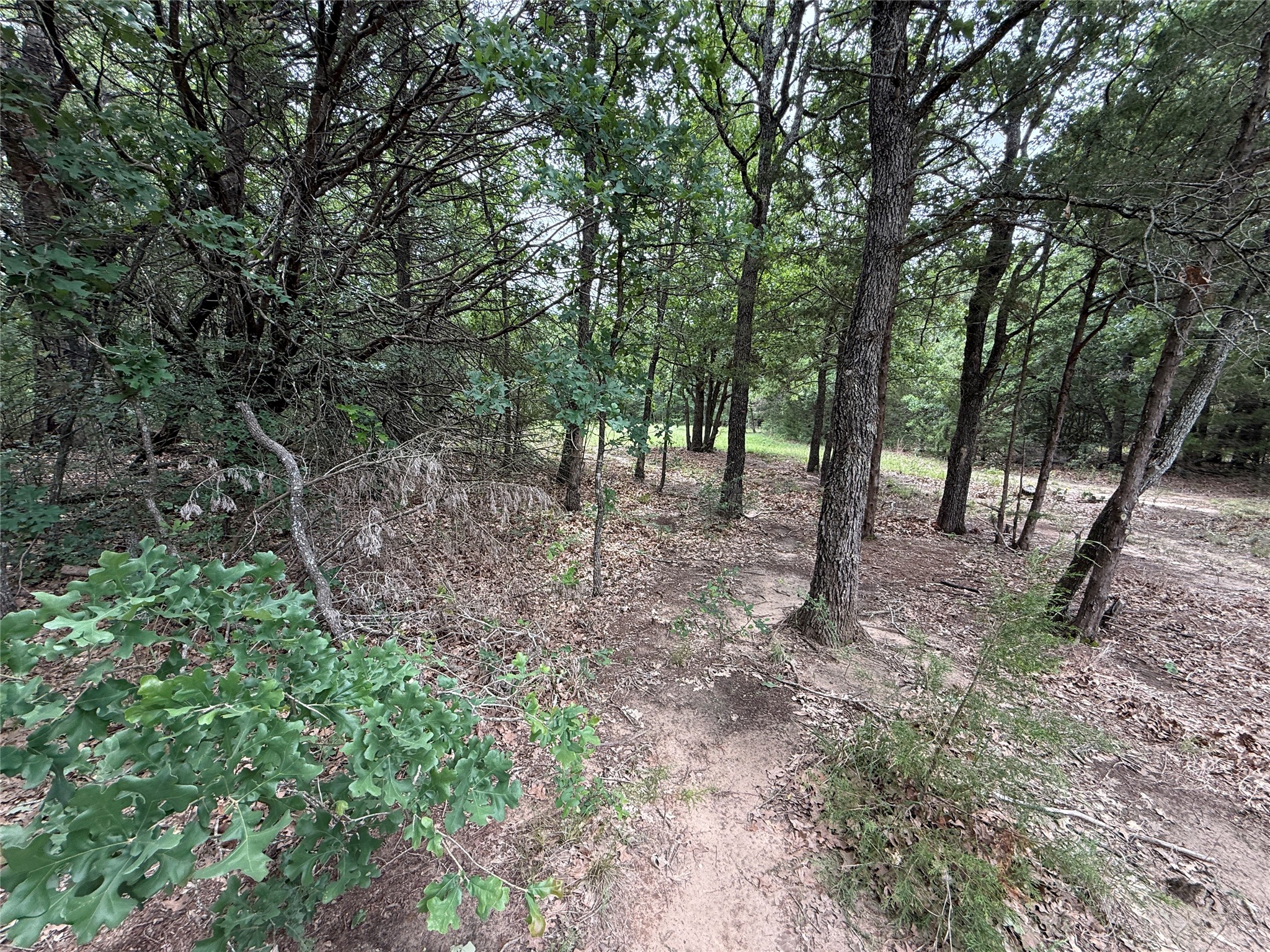 TBD 27 Acres FM 642