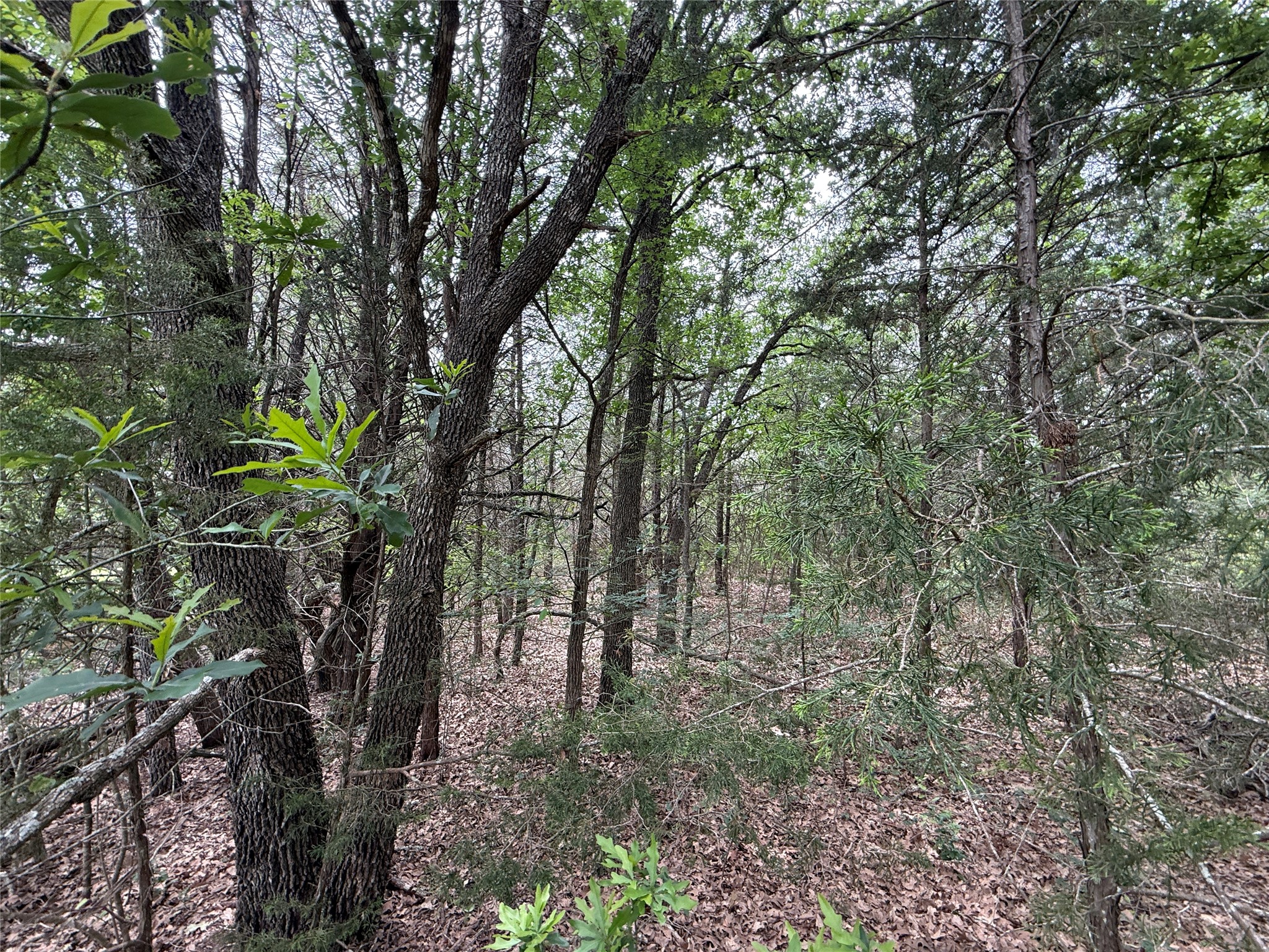 TBD 27 Acres FM 642