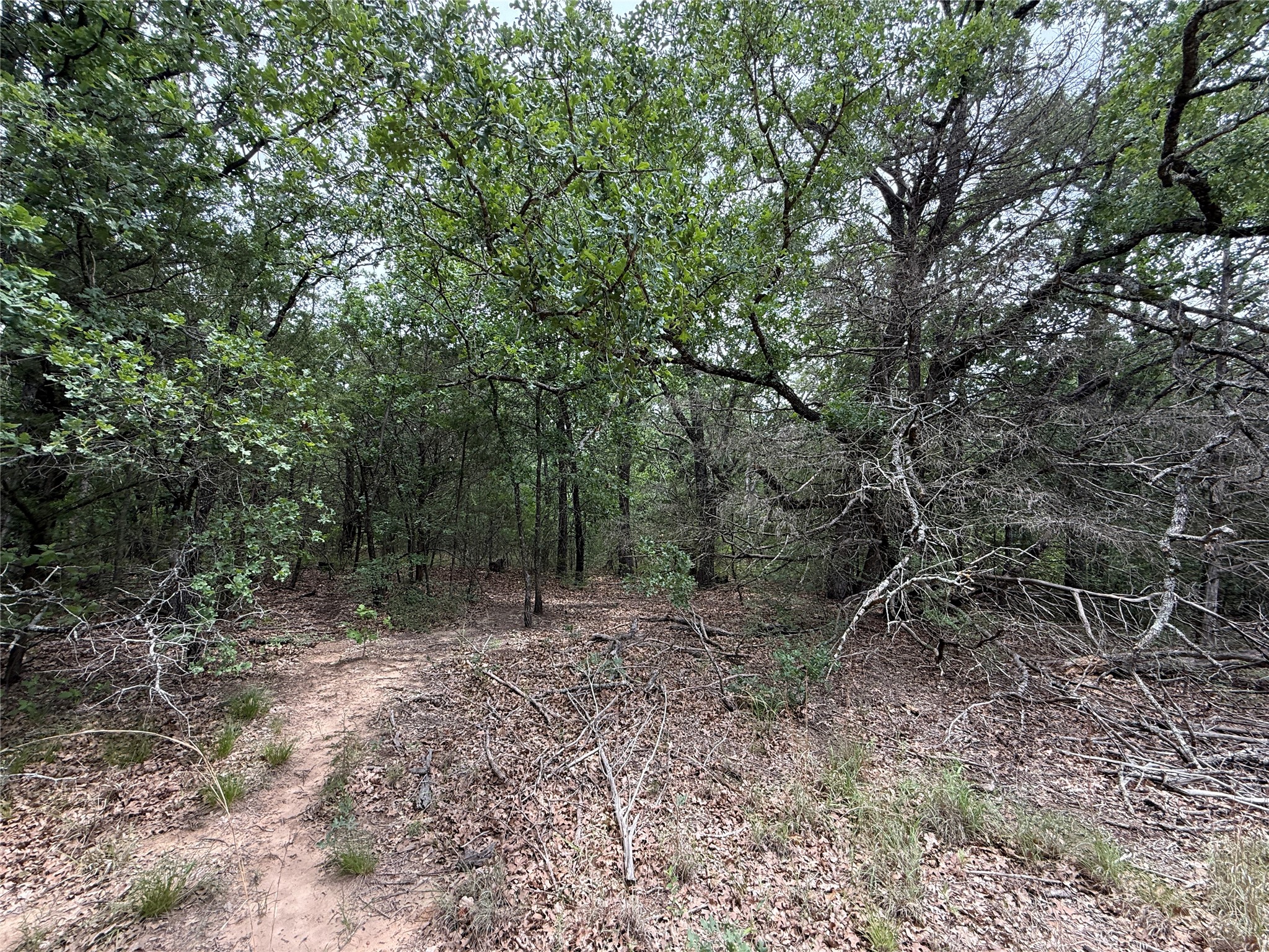TBD 27 Acres FM 642
