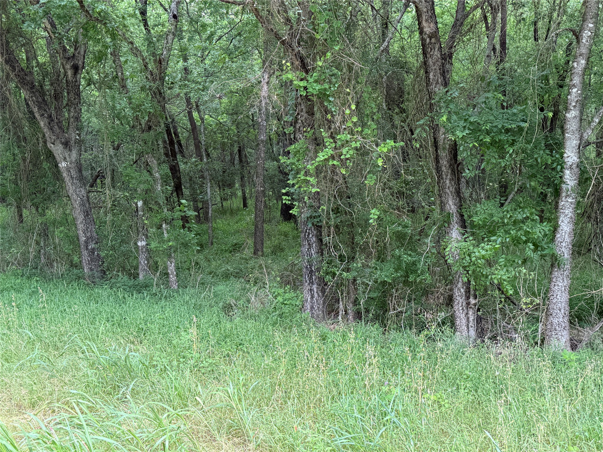 TBD 27 Acres FM 642