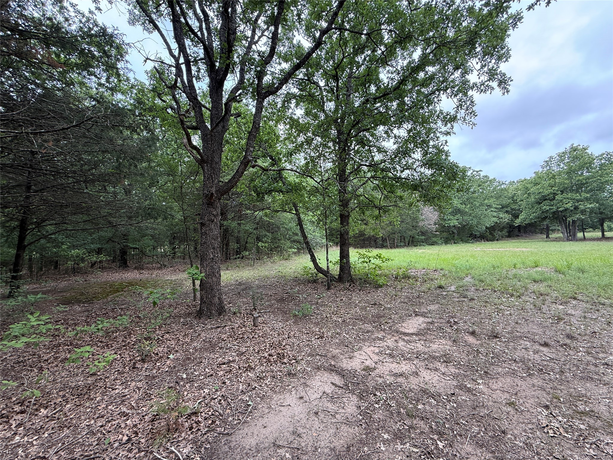TBD 27 Acres FM 642