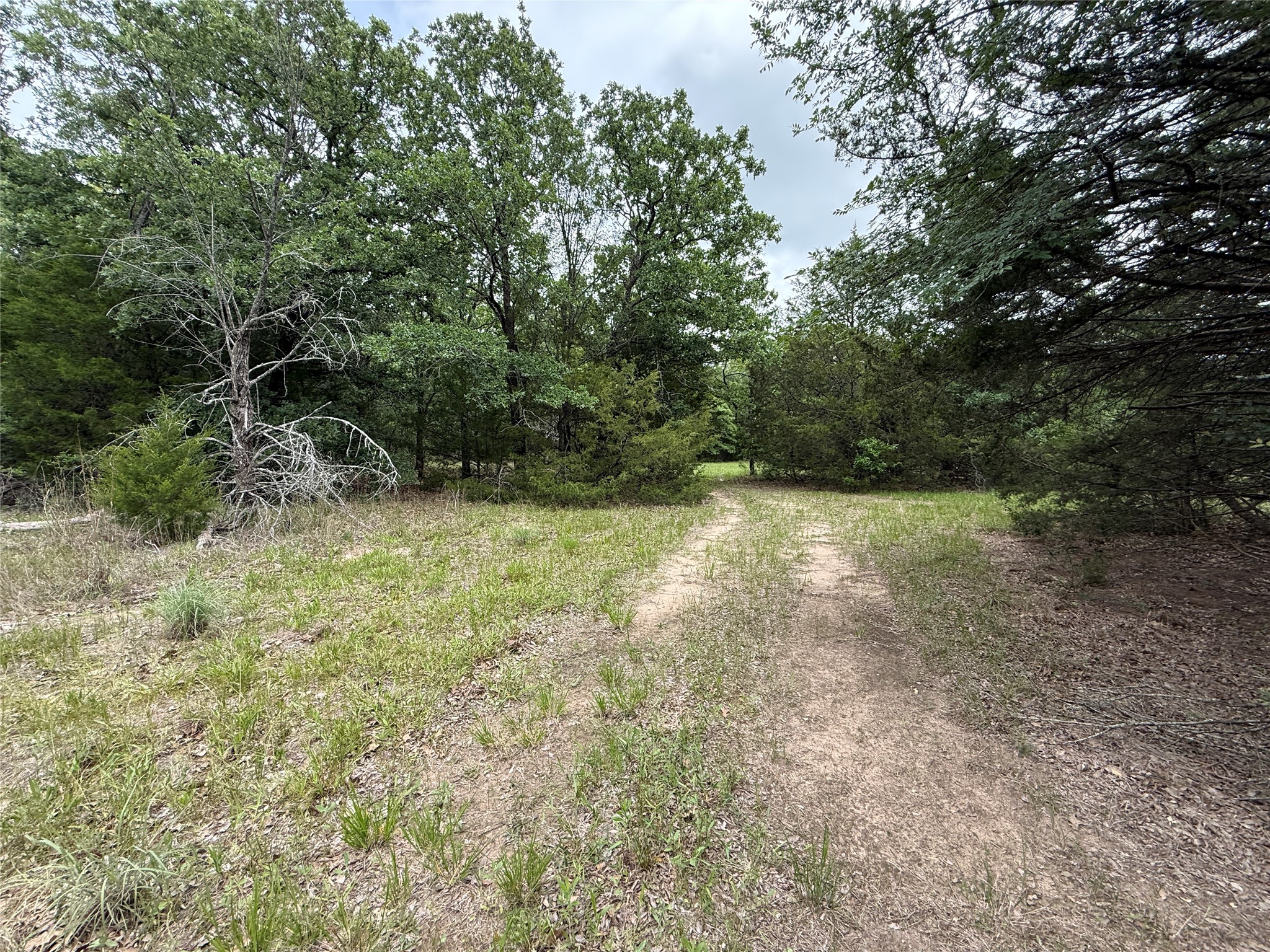 TBD 27 Acres FM 642