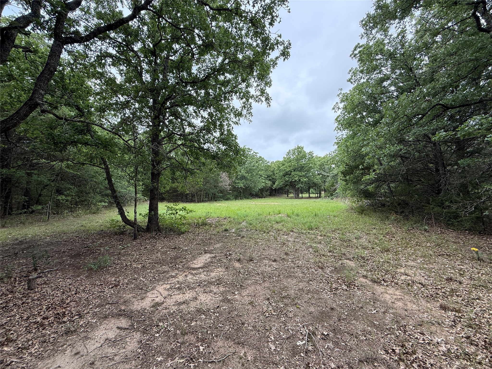 TBD 27 Acres FM 642