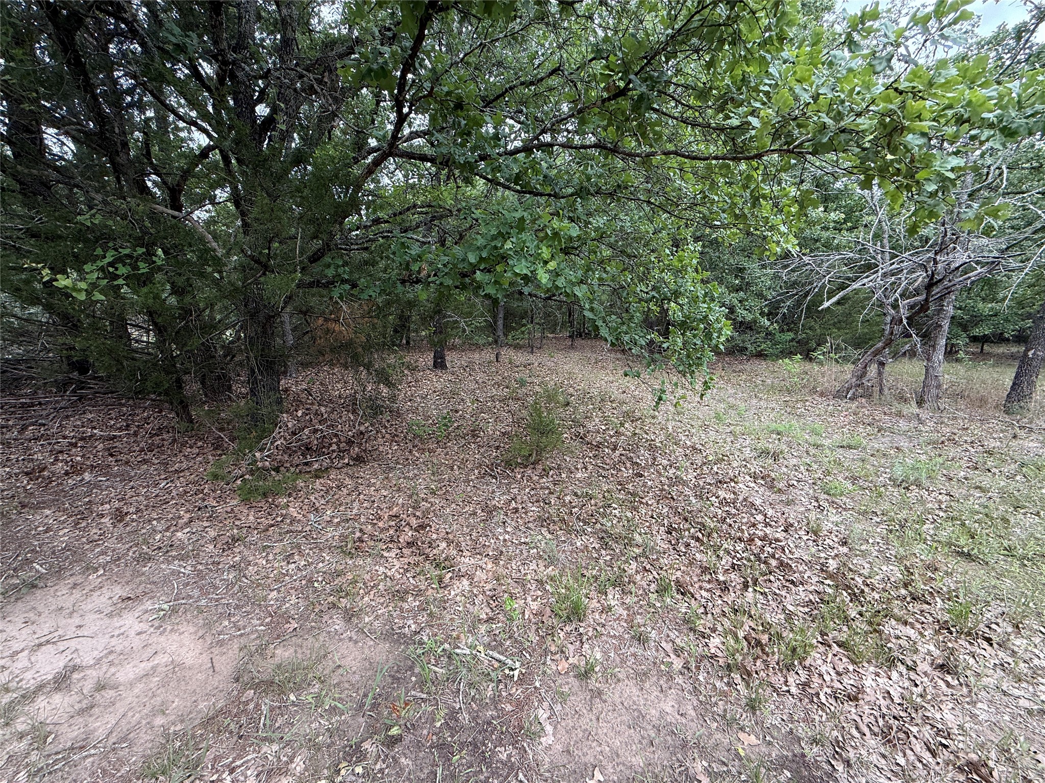 TBD 27 Acres FM 642