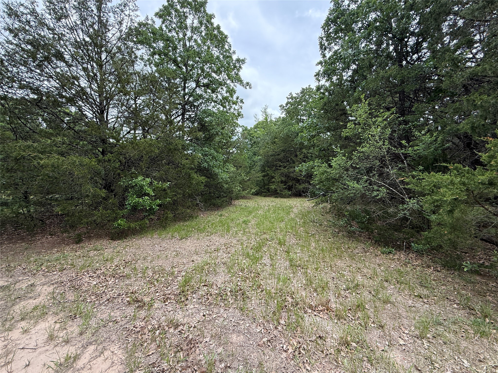 TBD 27 Acres FM 642