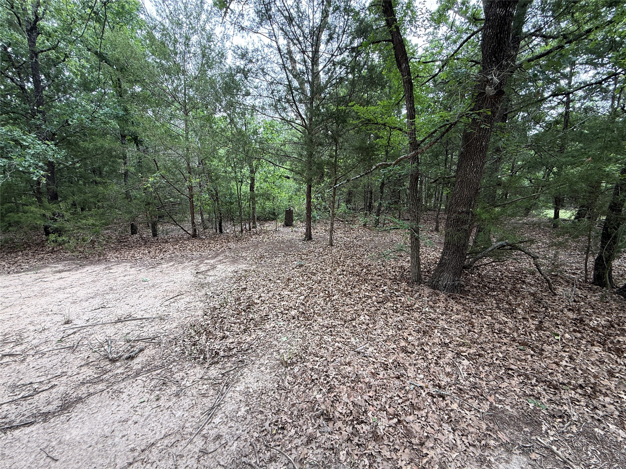 TBD 27 Acres FM 642