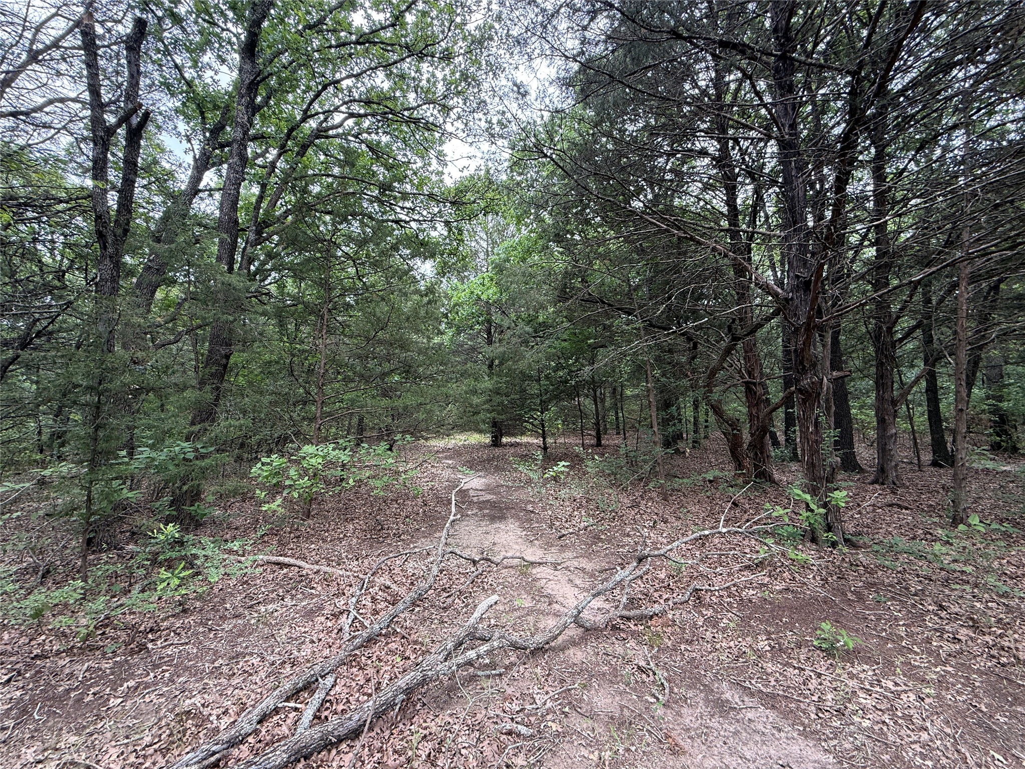 TBD 27 Acres FM 642