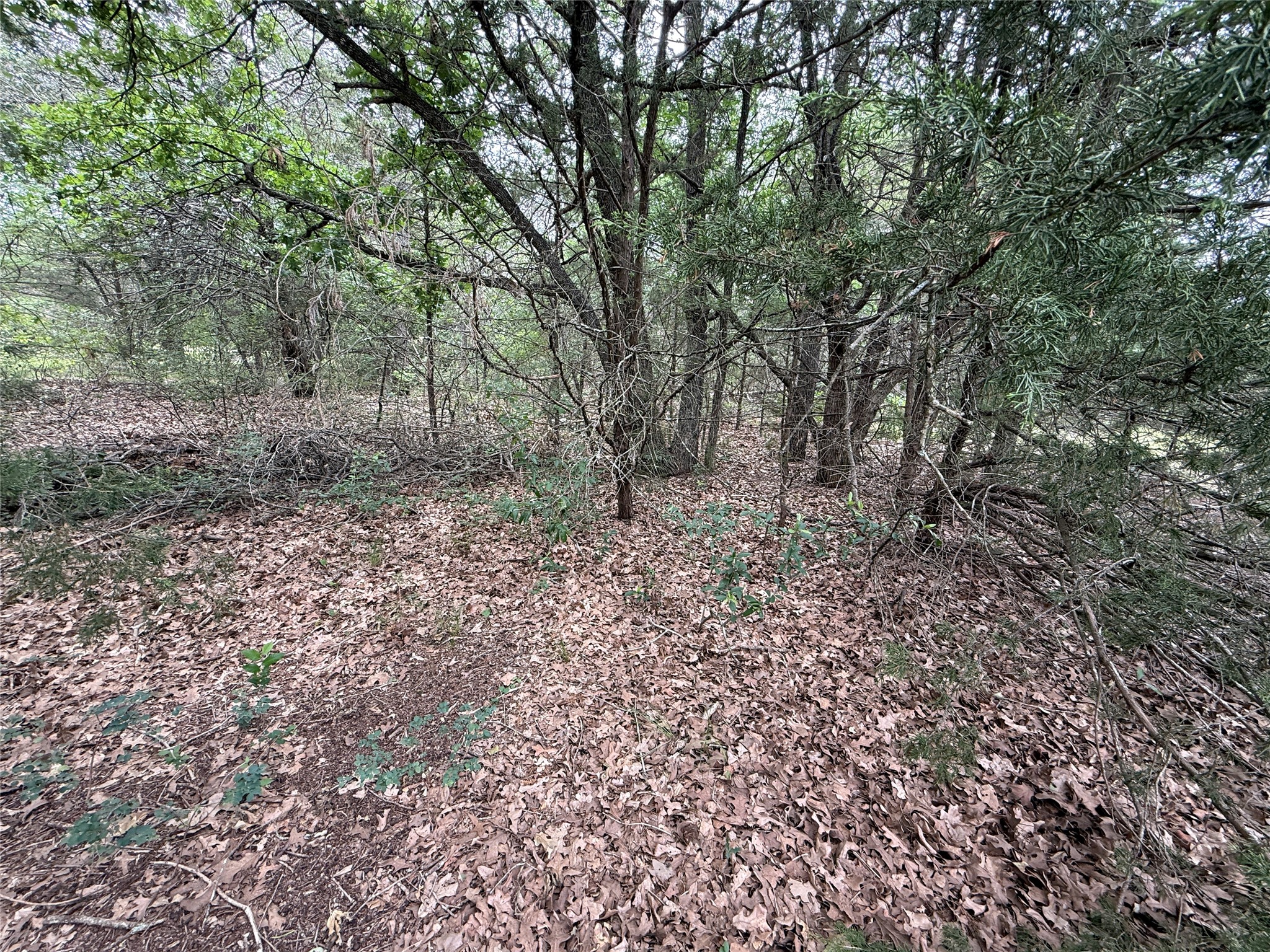 TBD 27 Acres FM 642