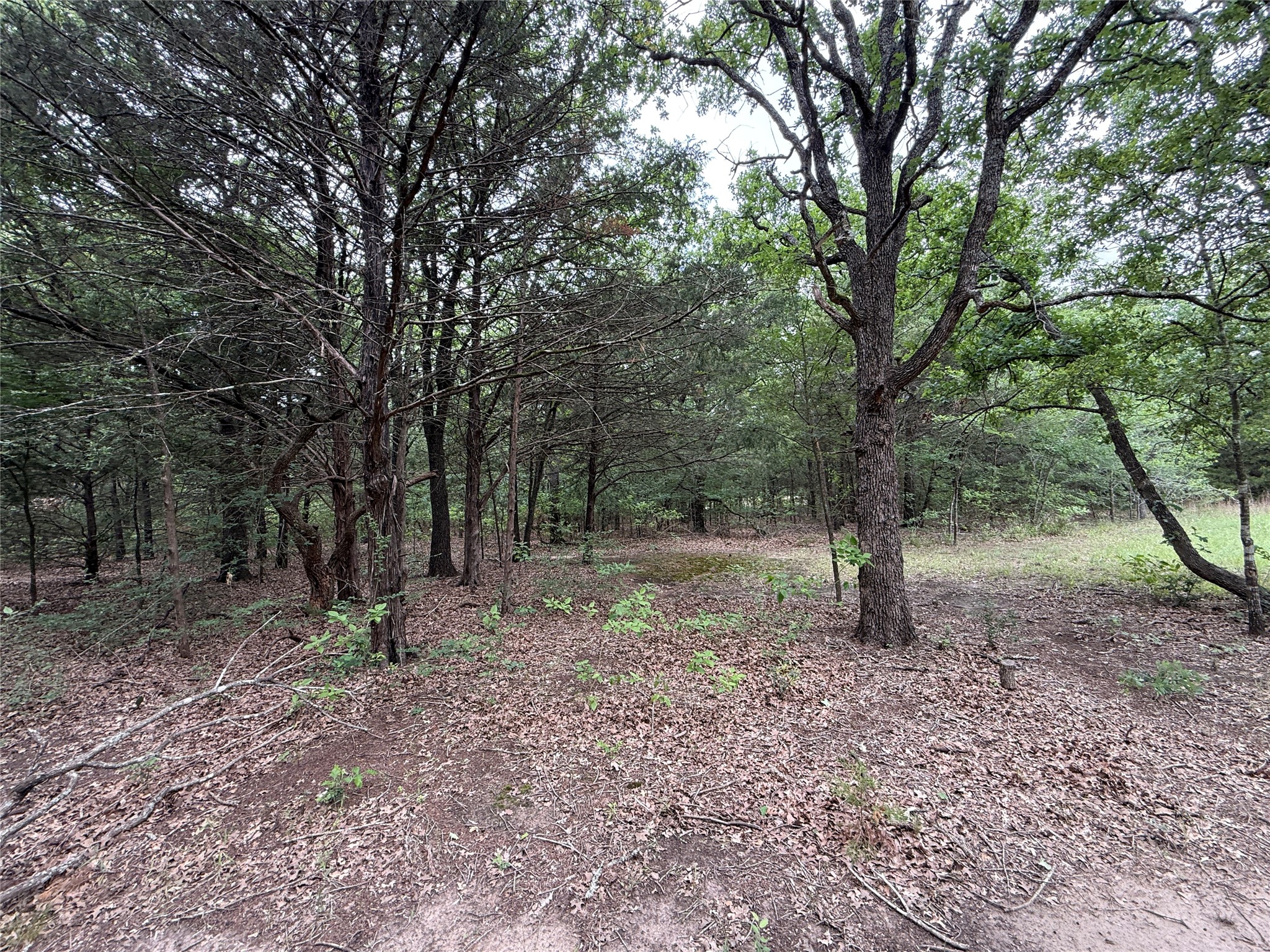 TBD 27 Acres FM 642