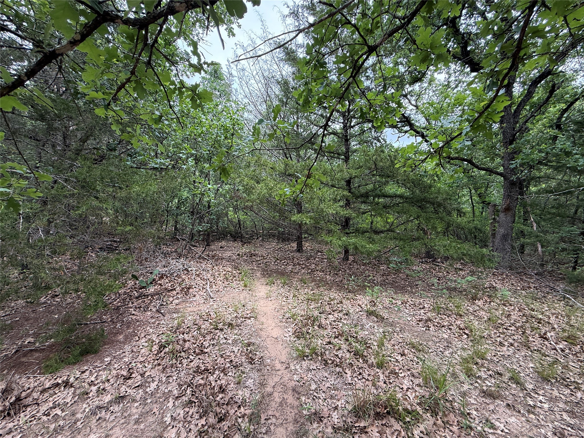 TBD 27 Acres FM 642