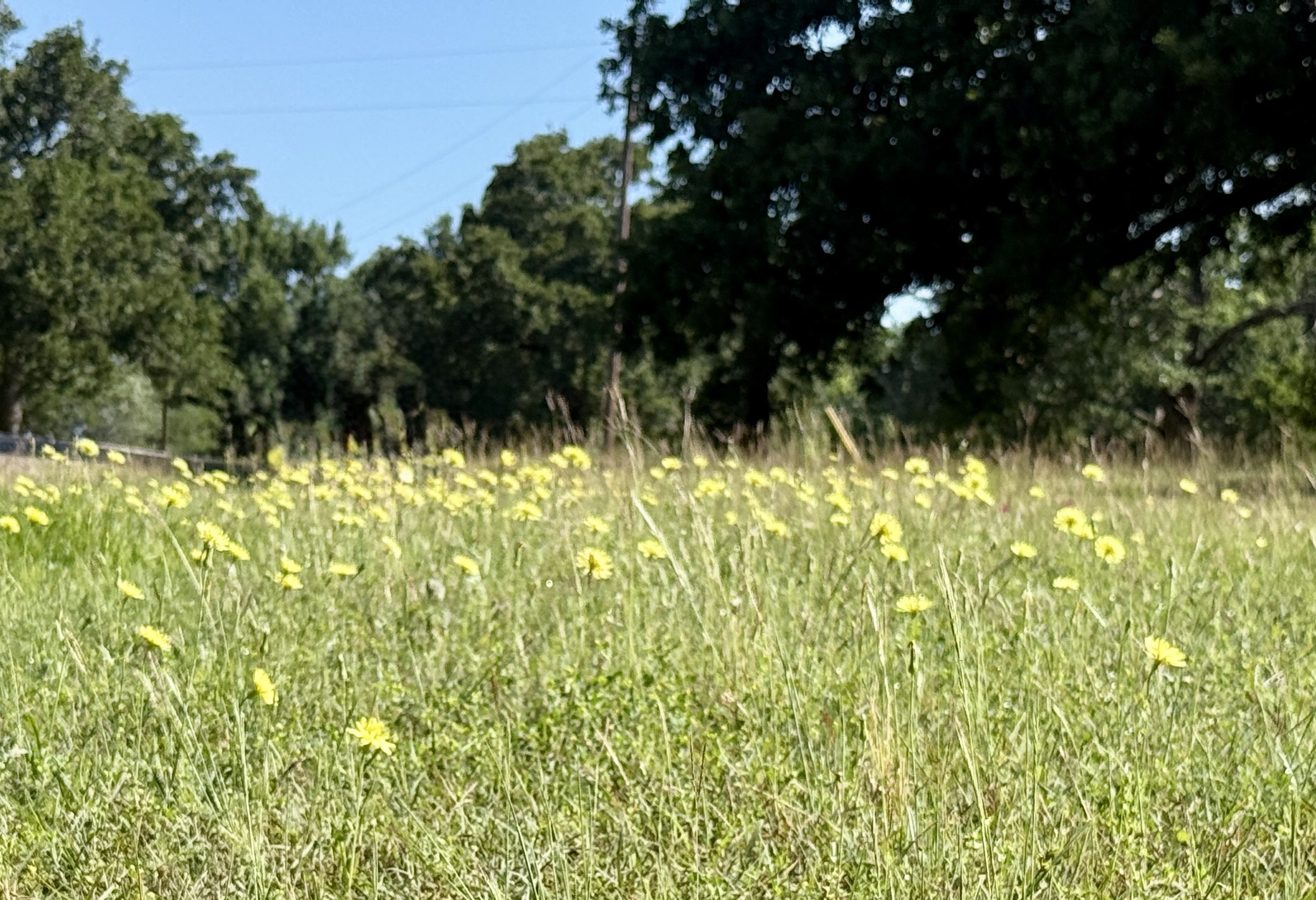Lot 1 SE County Road 3186