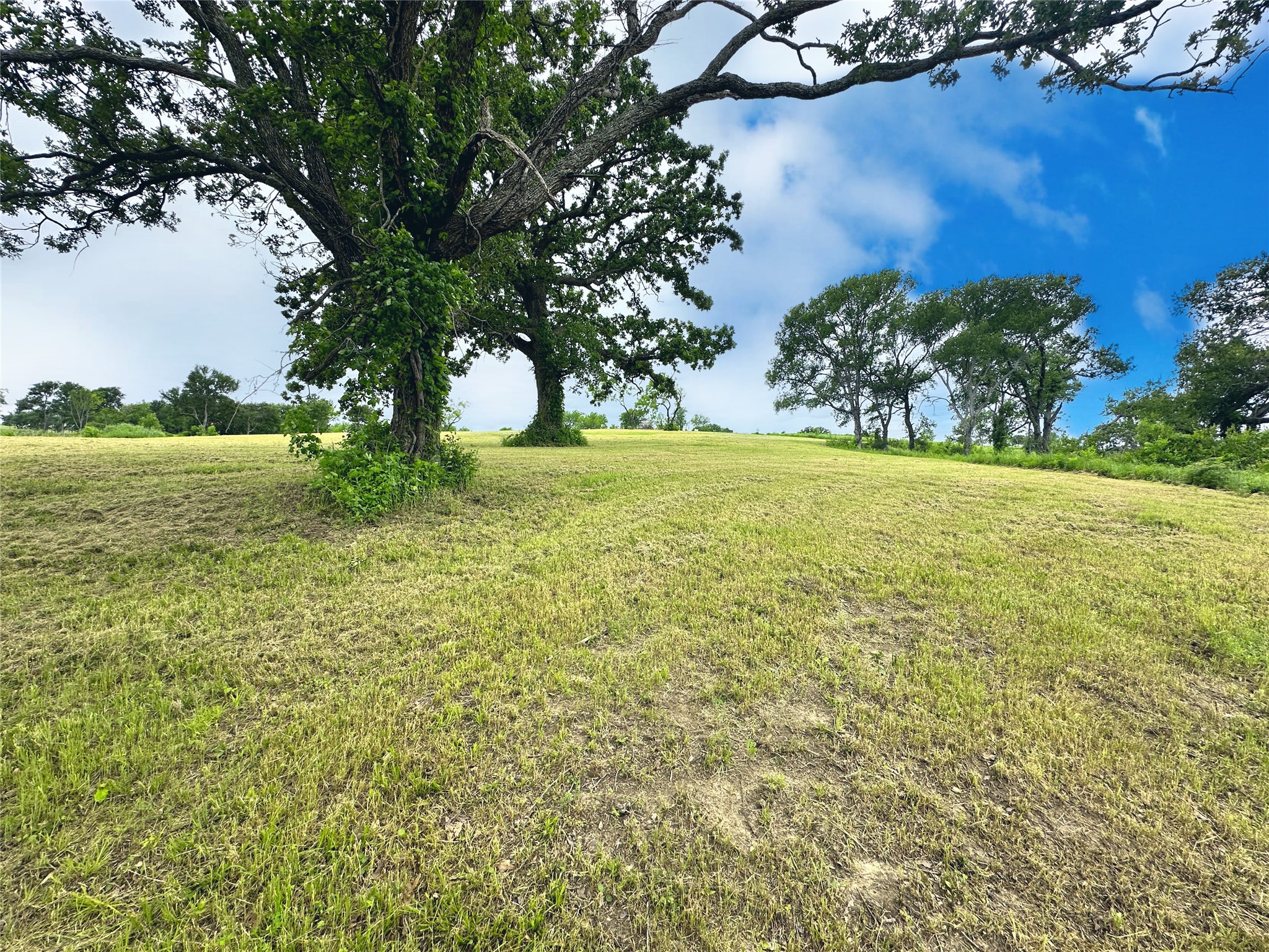 Lot 53 Richland Court