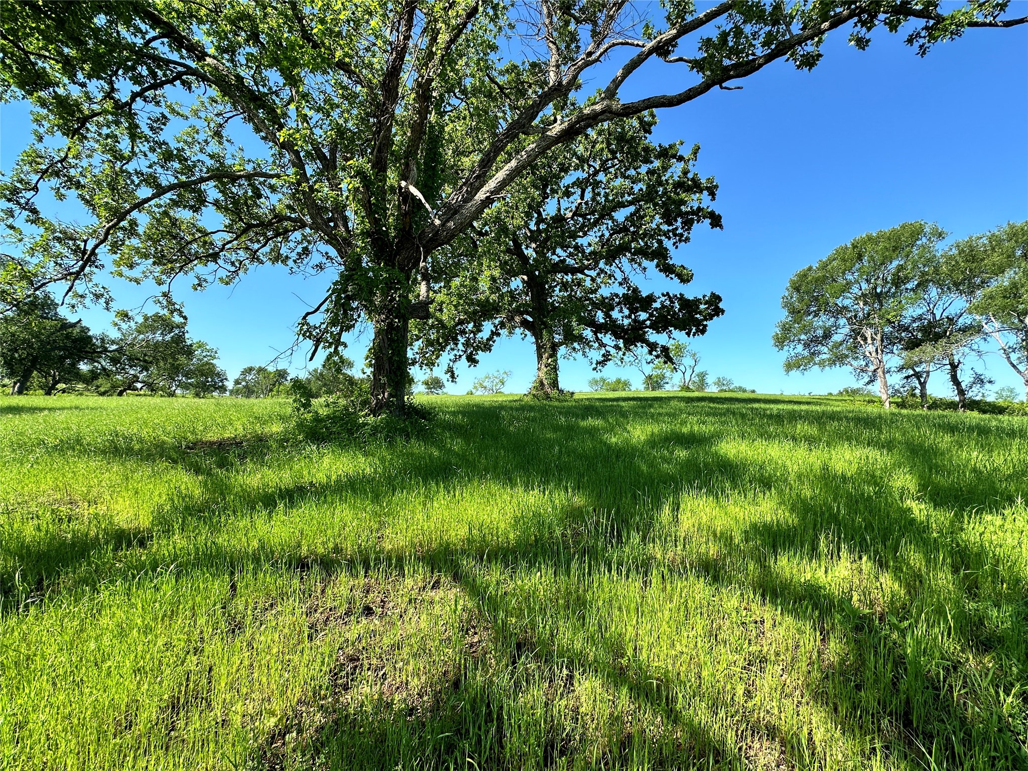 Lot 53 Richland Court